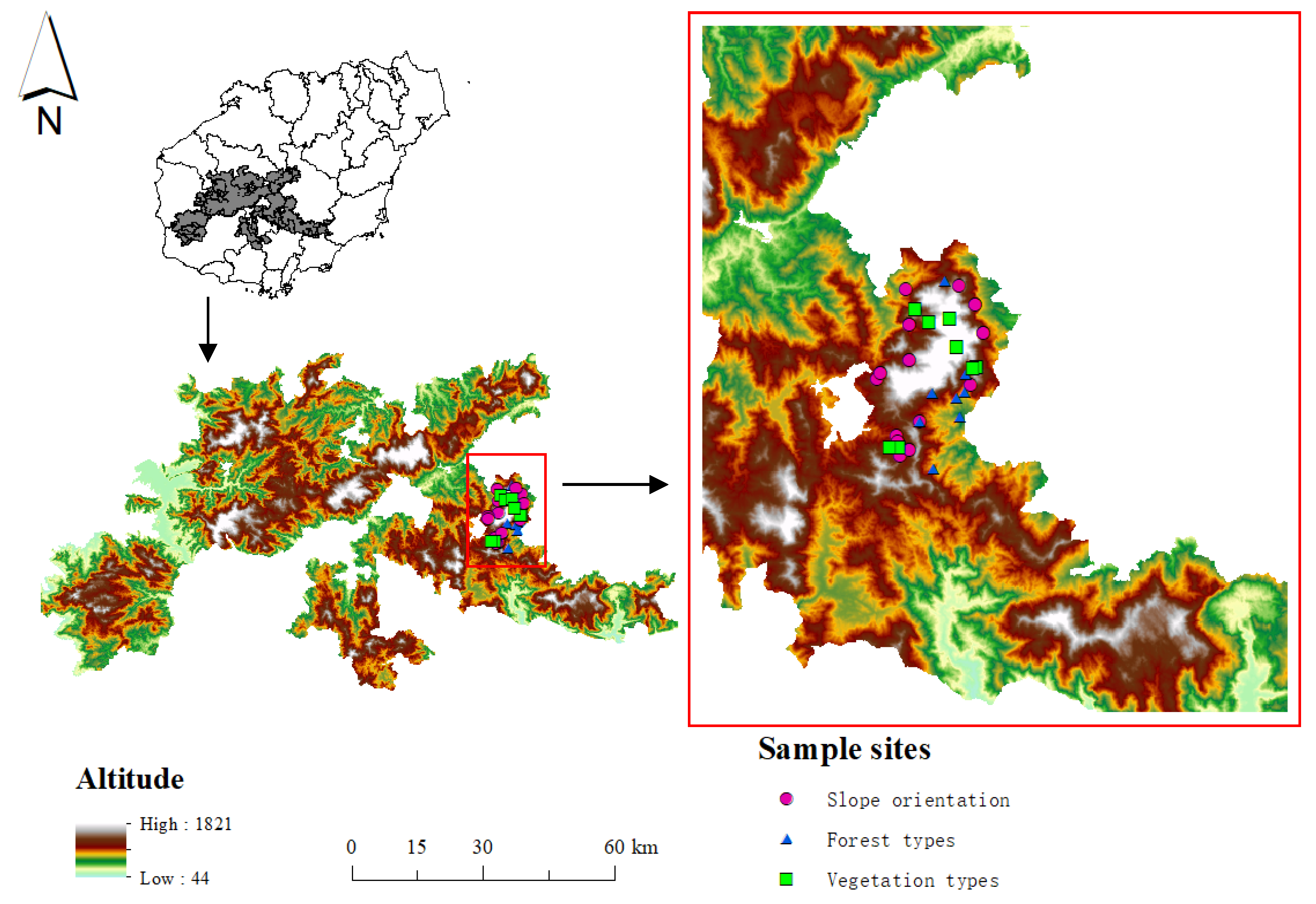 Forests 13 01943 g001