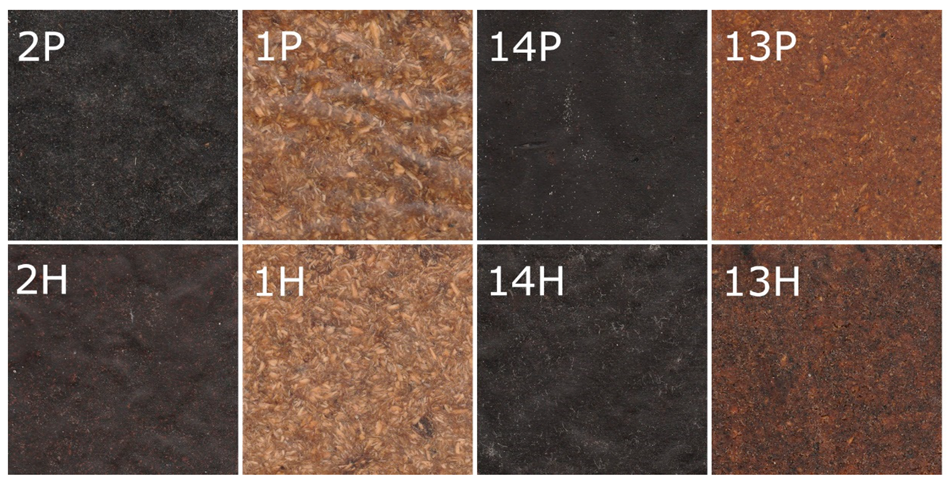 Forests 13 01950 g001