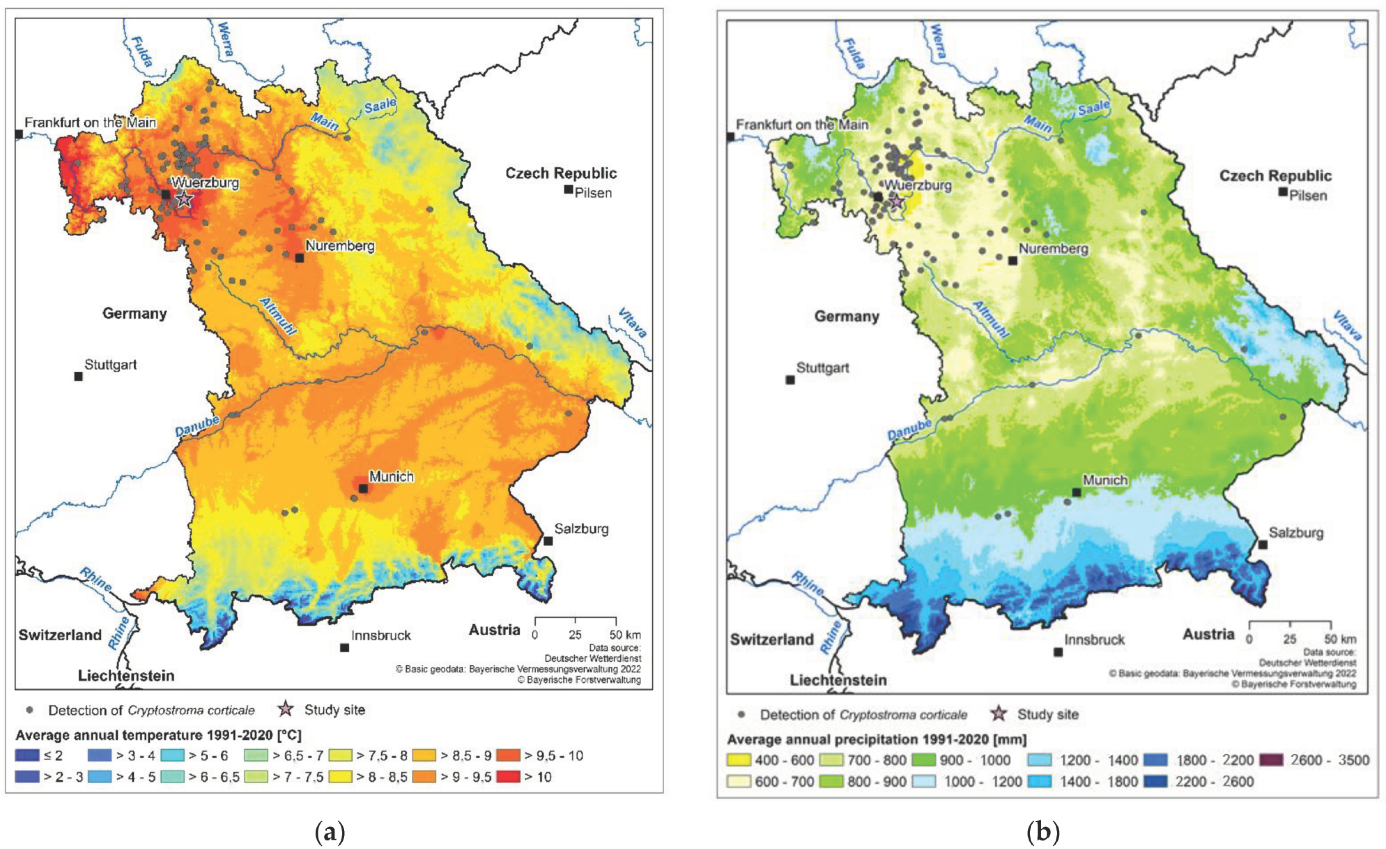 Forests 13 01956 g001