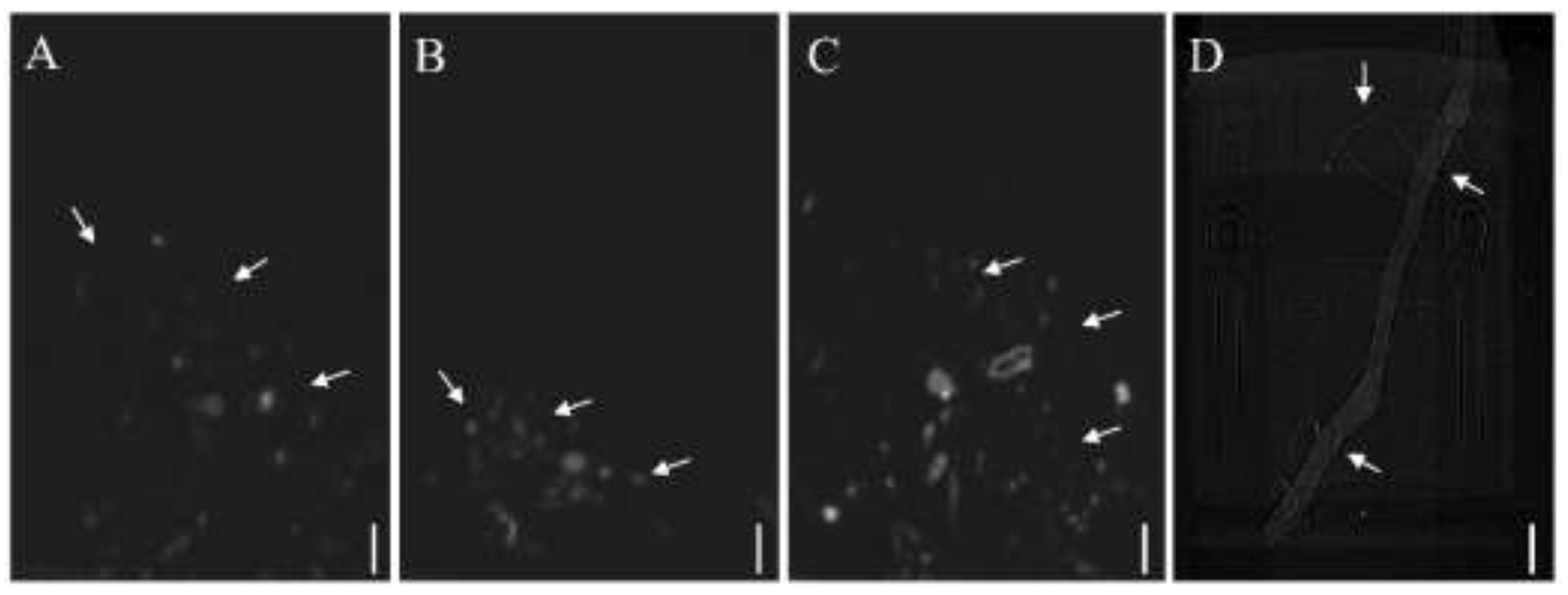 Forests 13 01963 g002