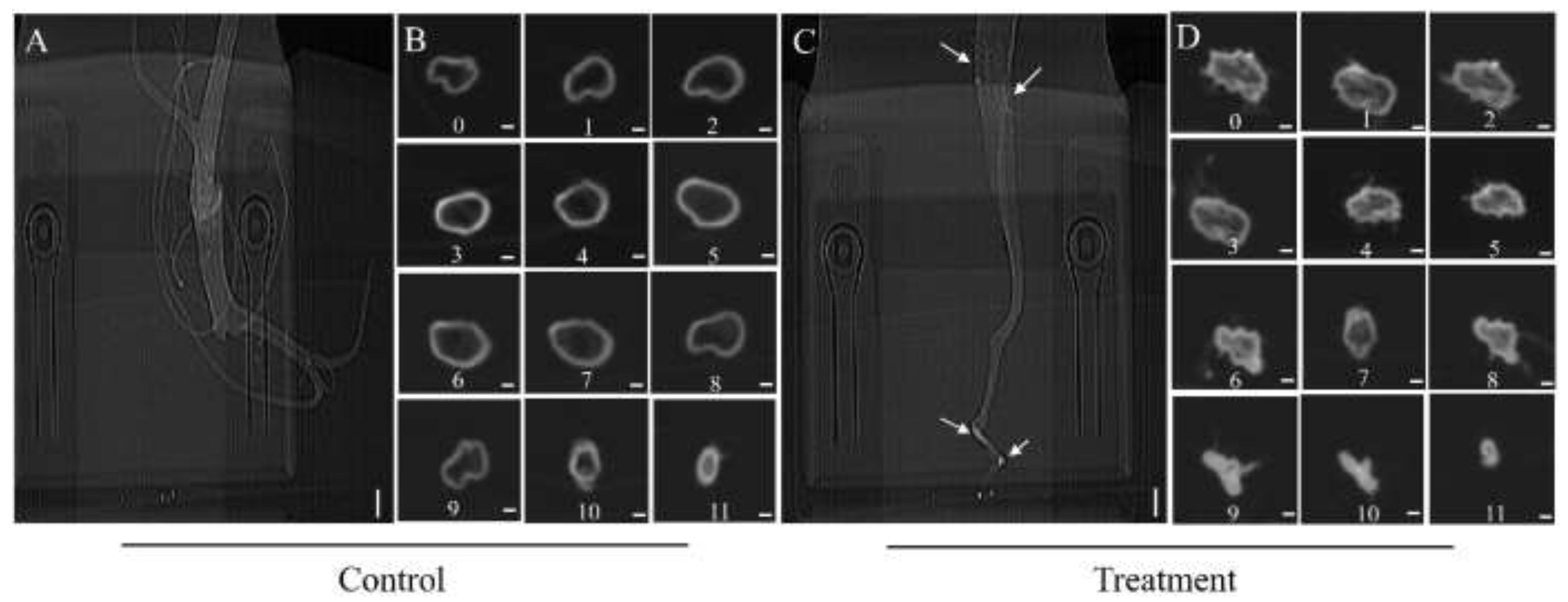 Forests 13 01963 g003