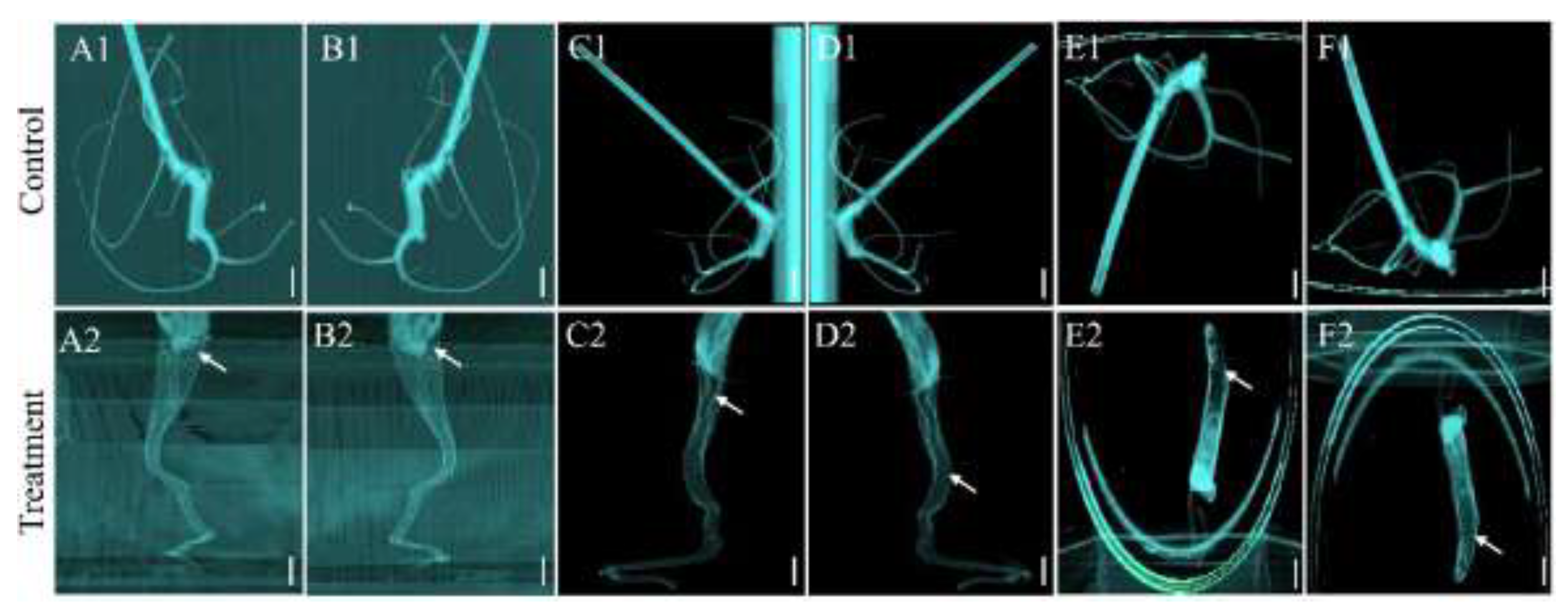 Forests 13 01963 g005