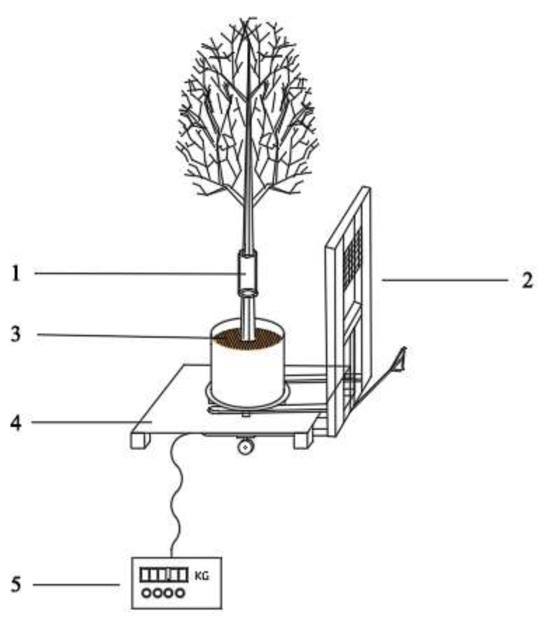 Forests 13 01964 g001