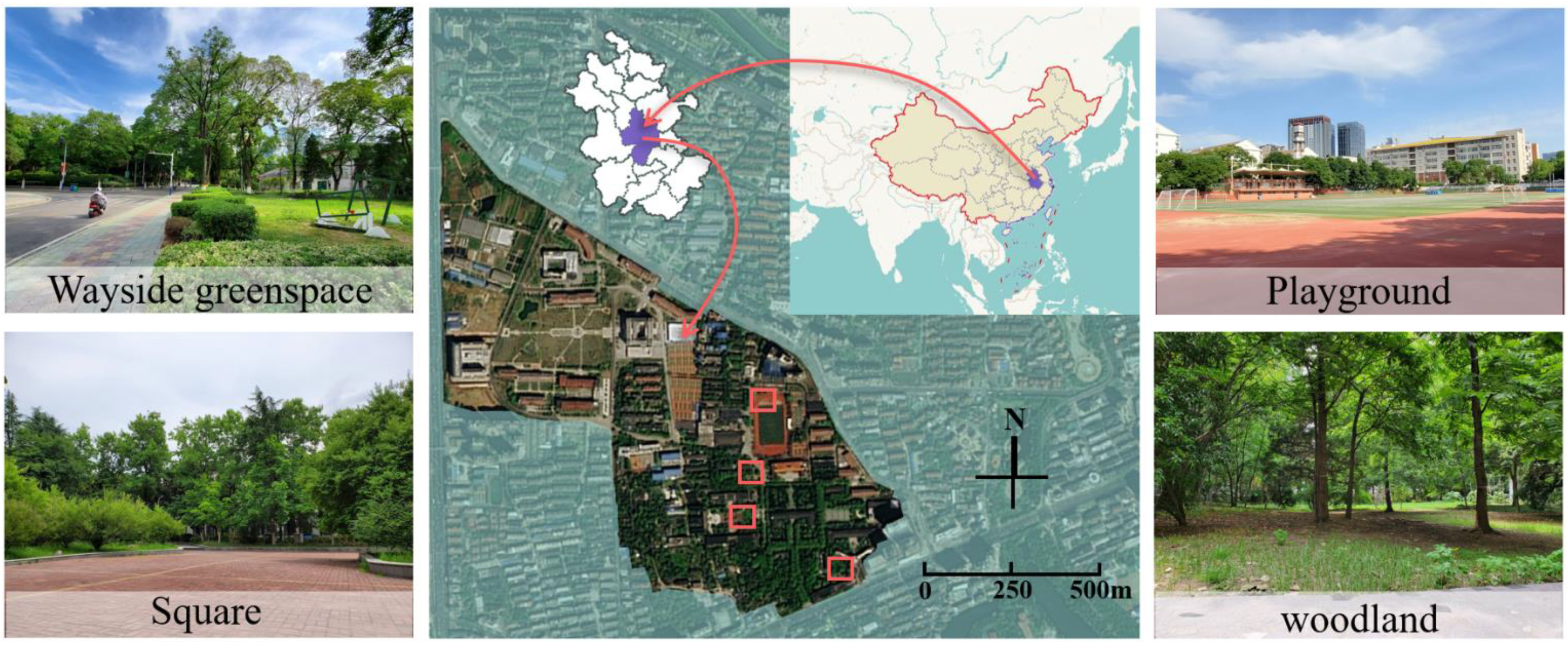 Forests 13 01966 g001