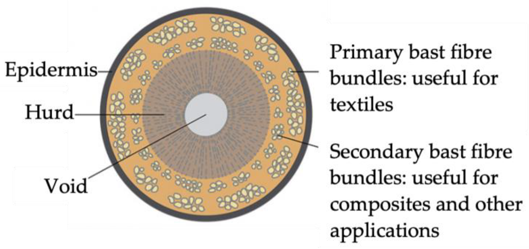 Forests 13 01967 g001