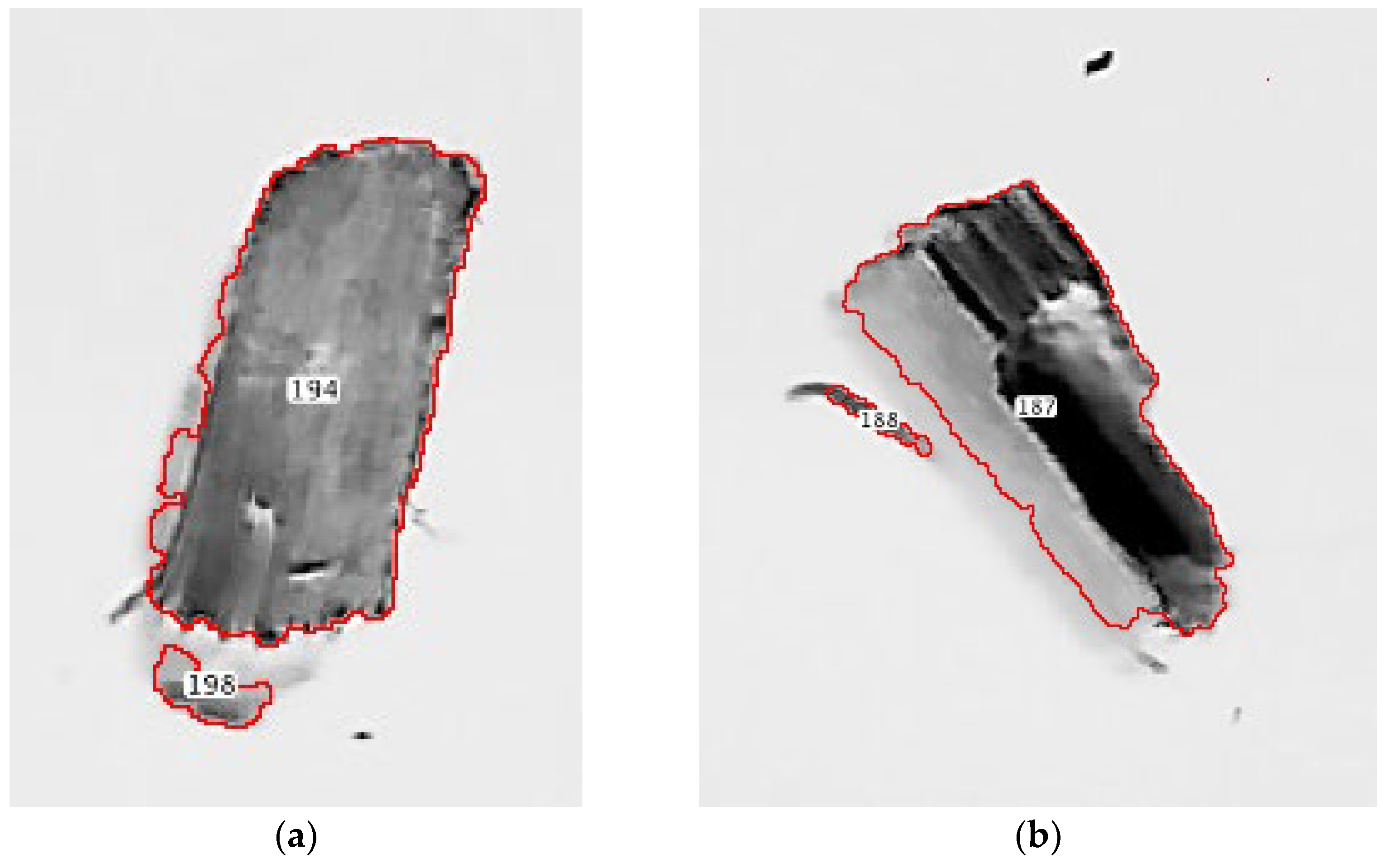 Forests 13 01967 g005
