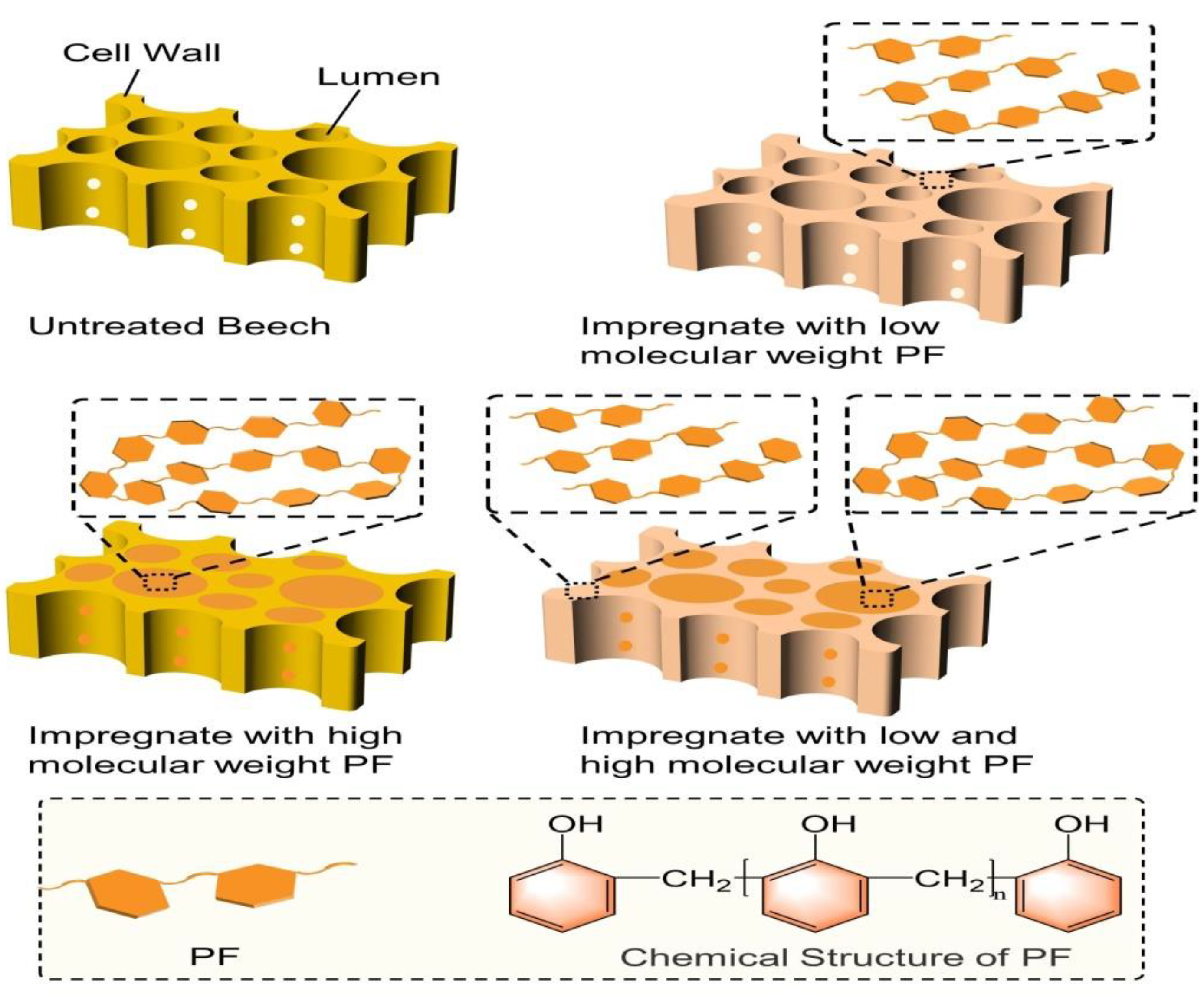 Forests 13 01980 g007