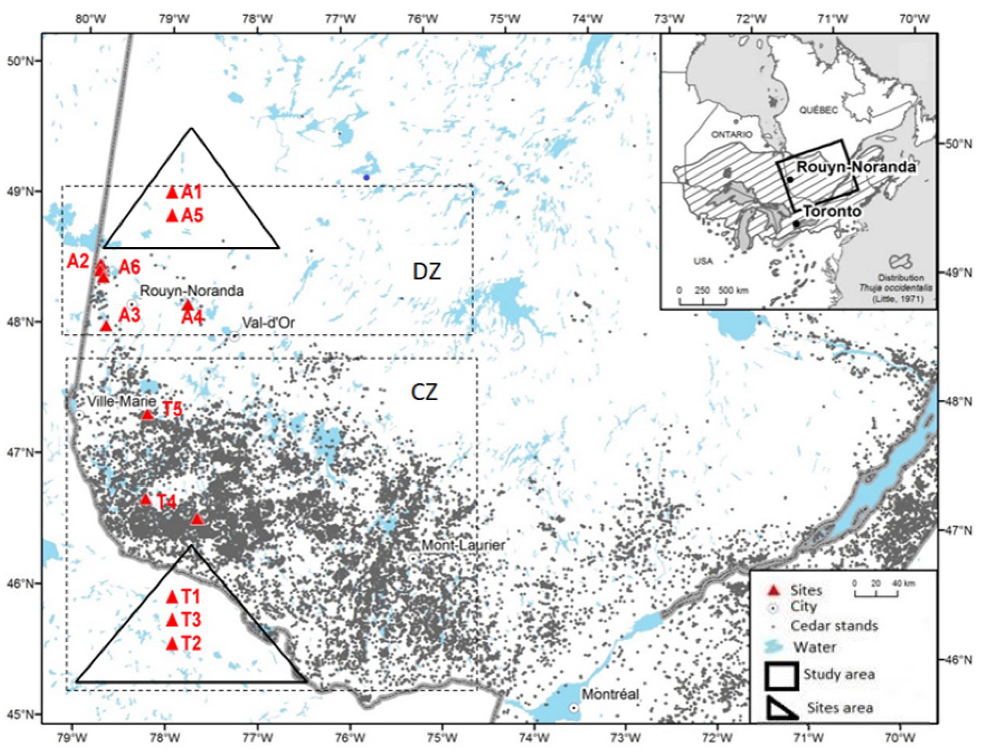 Forests 13 01984 g001