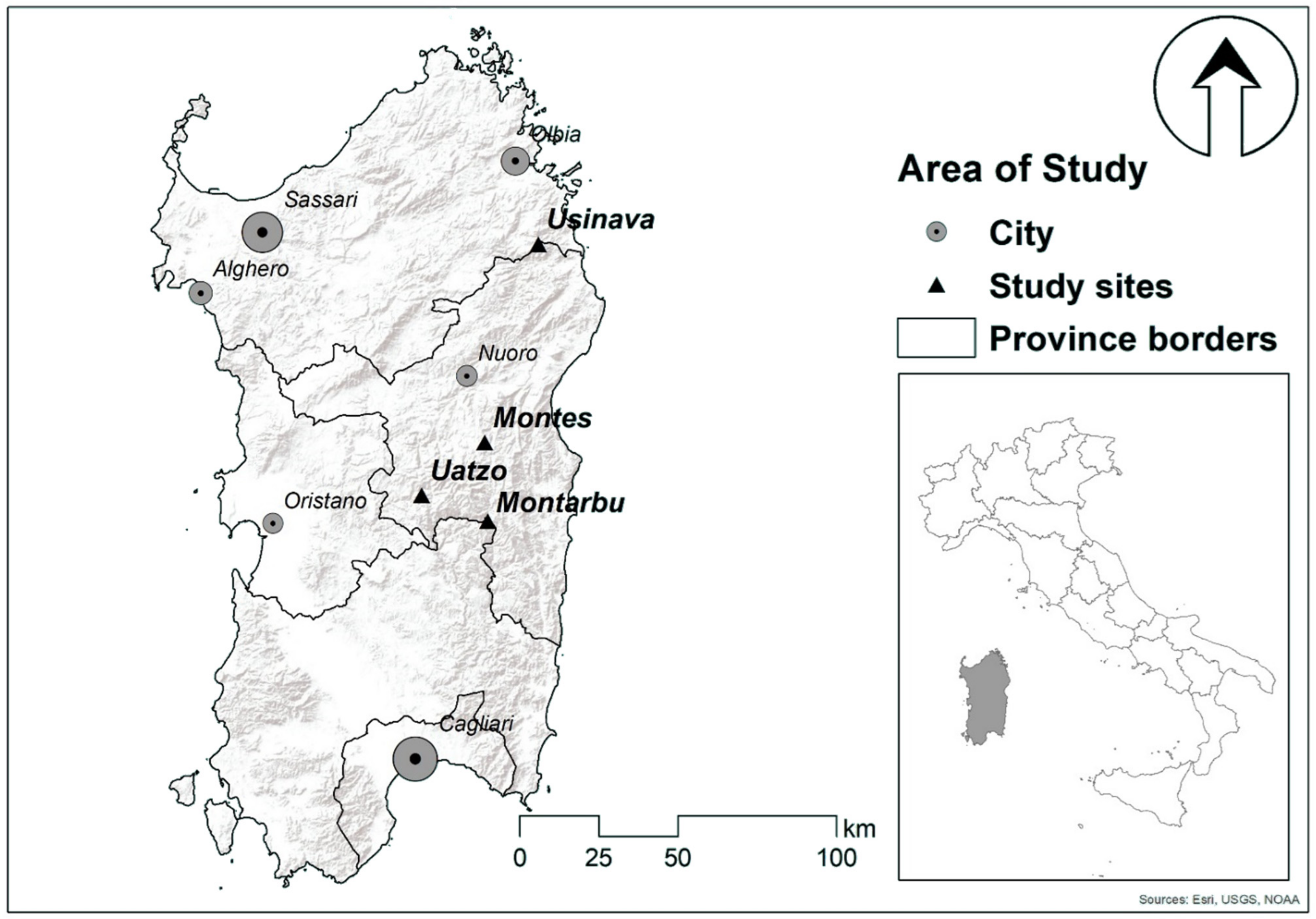 Forests 13 01986 g001