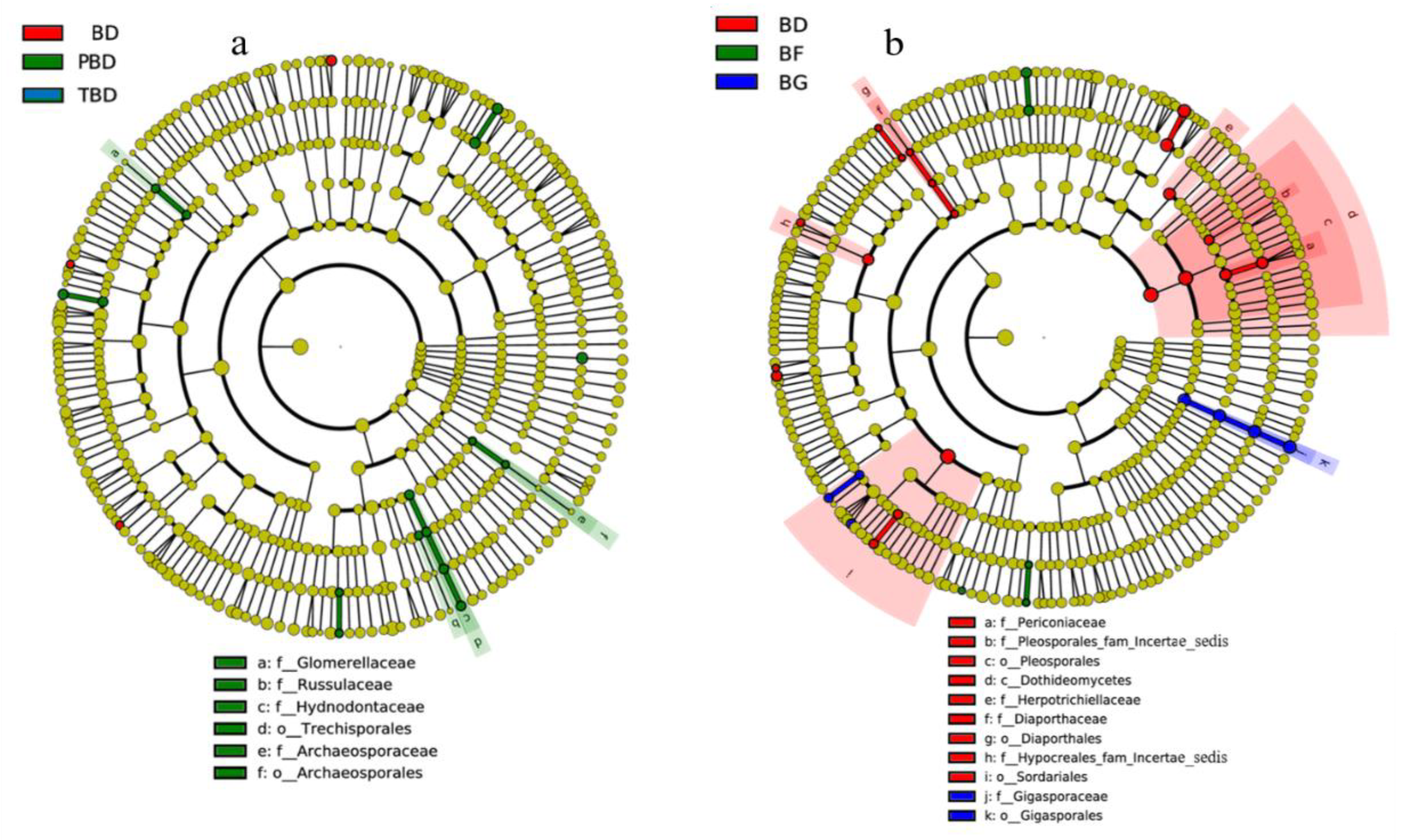 Forests 13 01987 g004