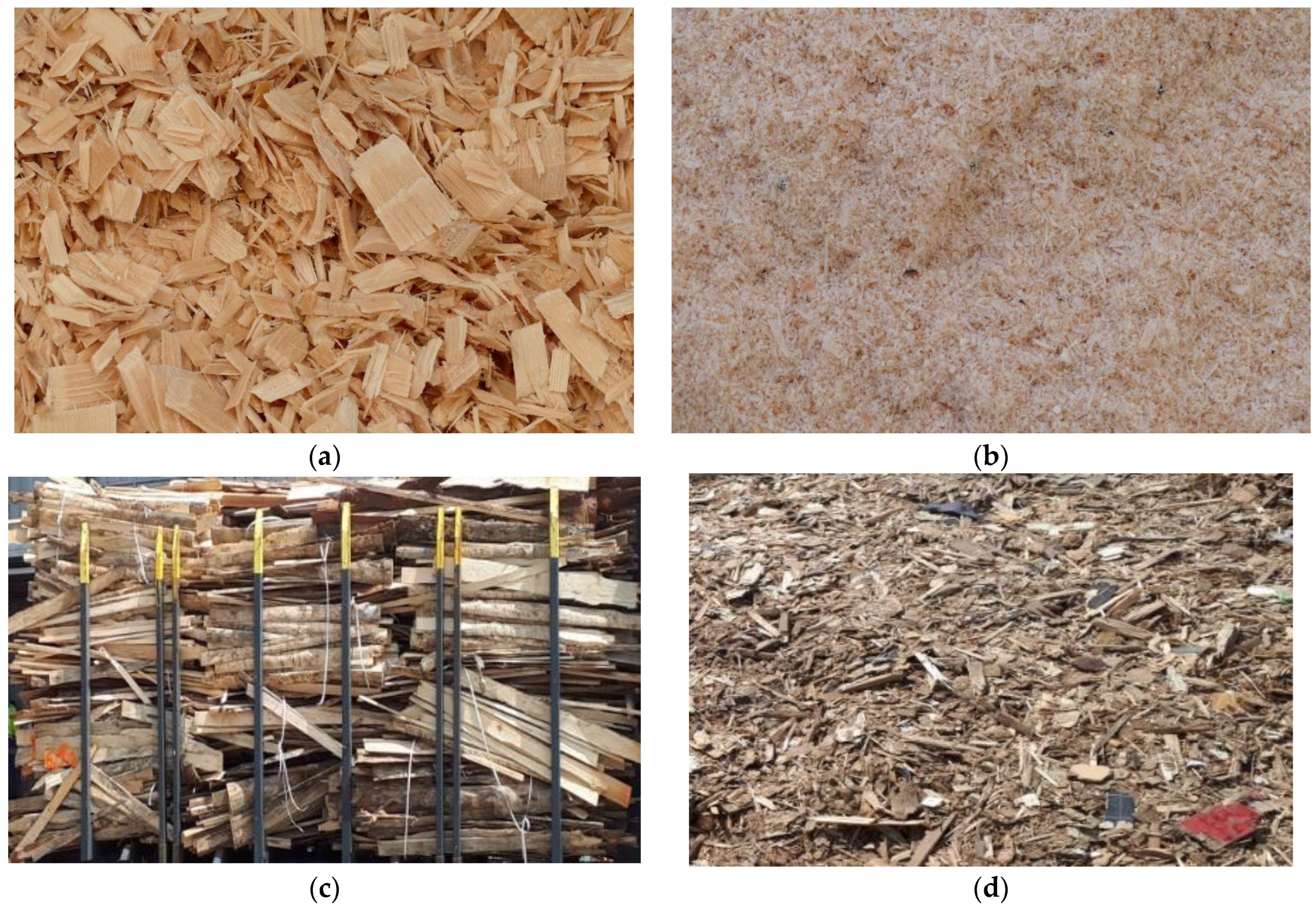 Forests 13 01992 g001