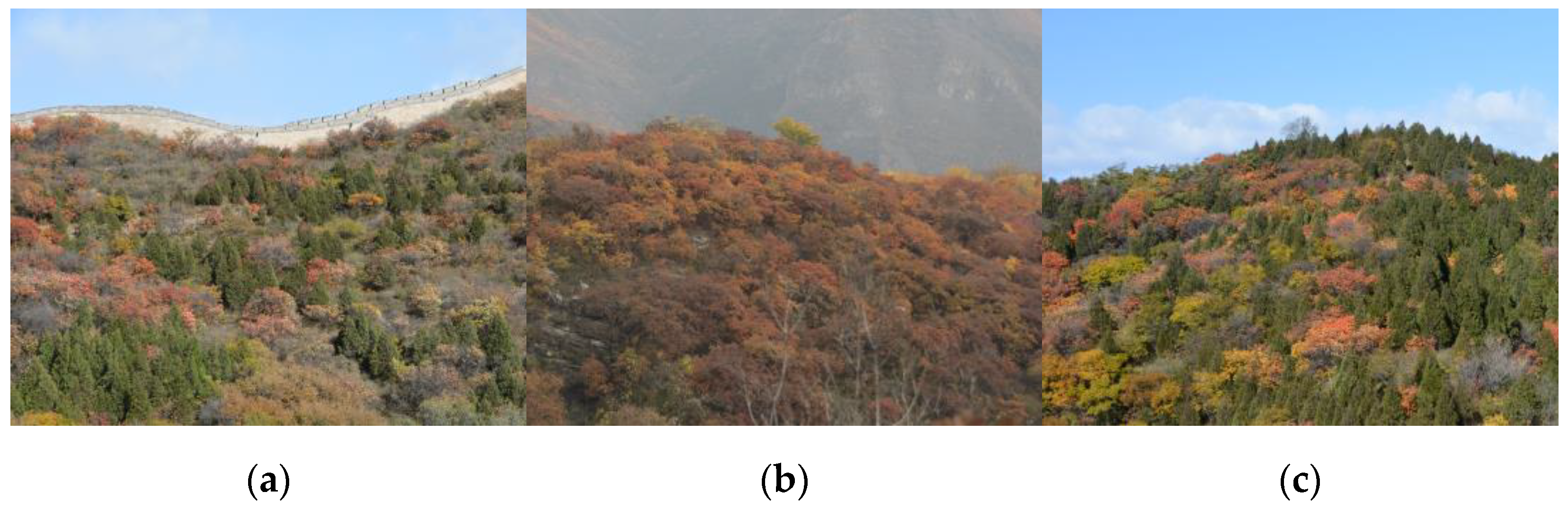 Forests 13 01996 g002