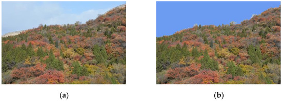 Forests 13 01996 g0a2