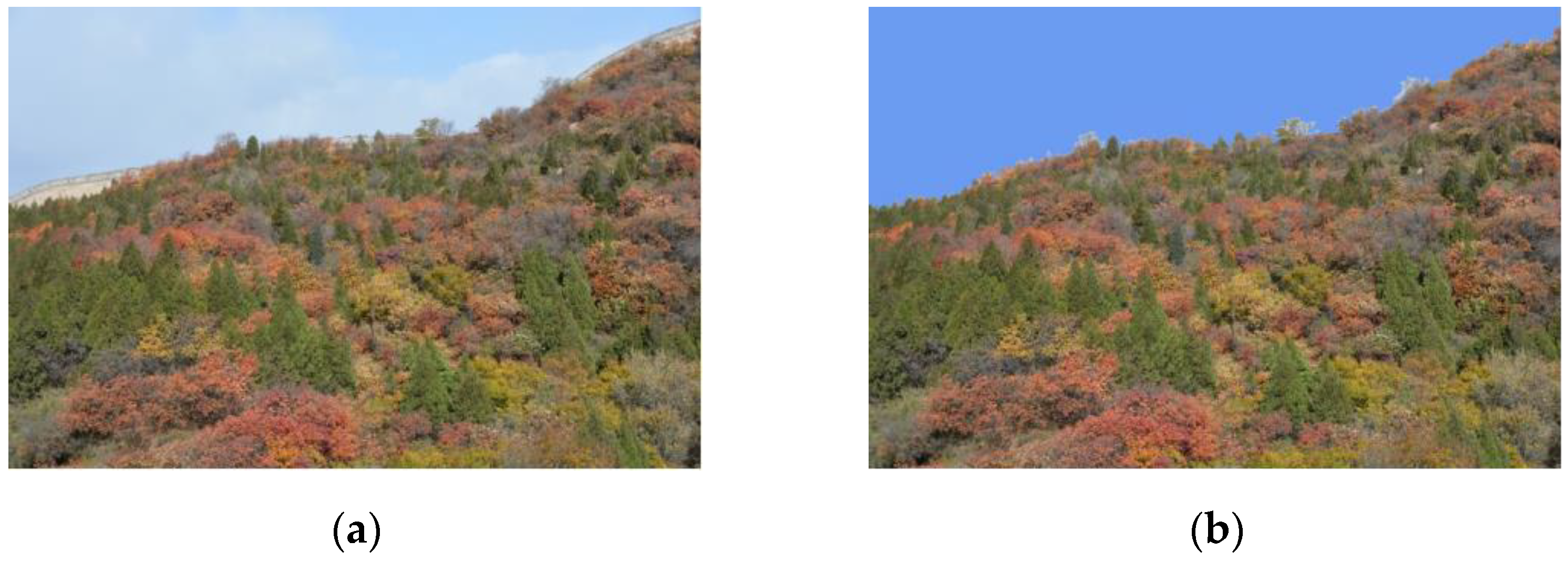 Forests 13 01996 g0a2