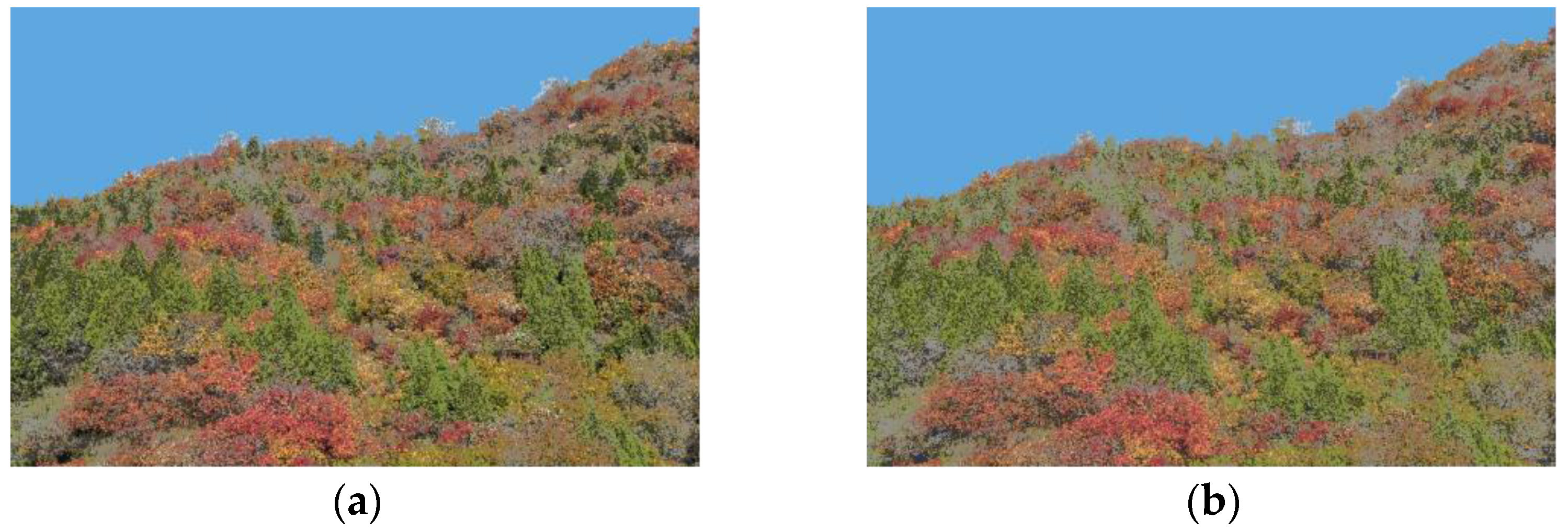 Forests 13 01996 g0a3