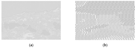 Forests 13 01996 g0a5
