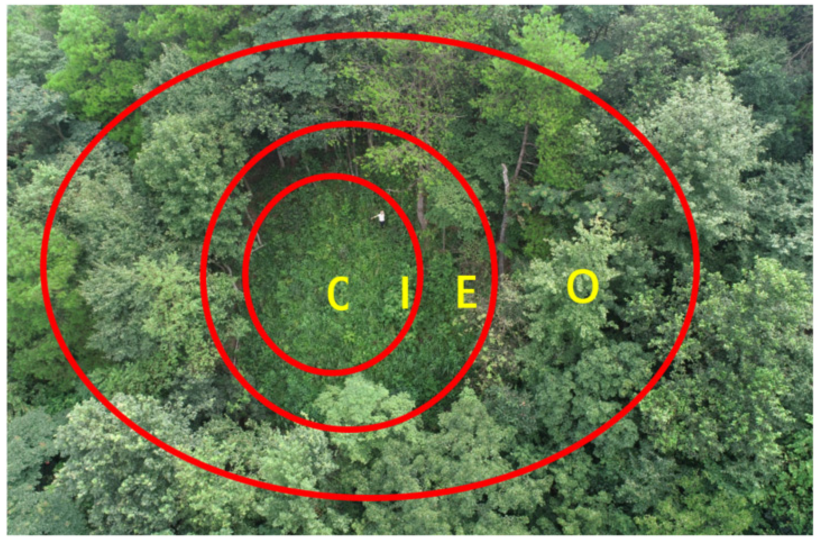 Forests 13 02015 g002