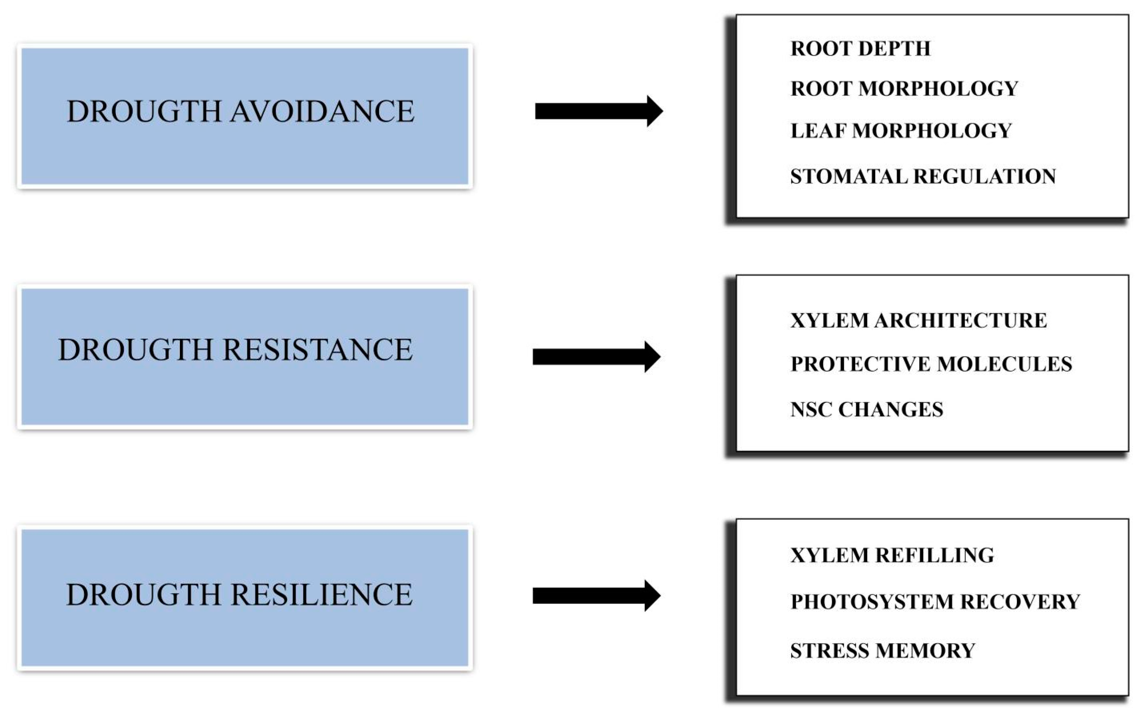 Forests 13 02016 g001