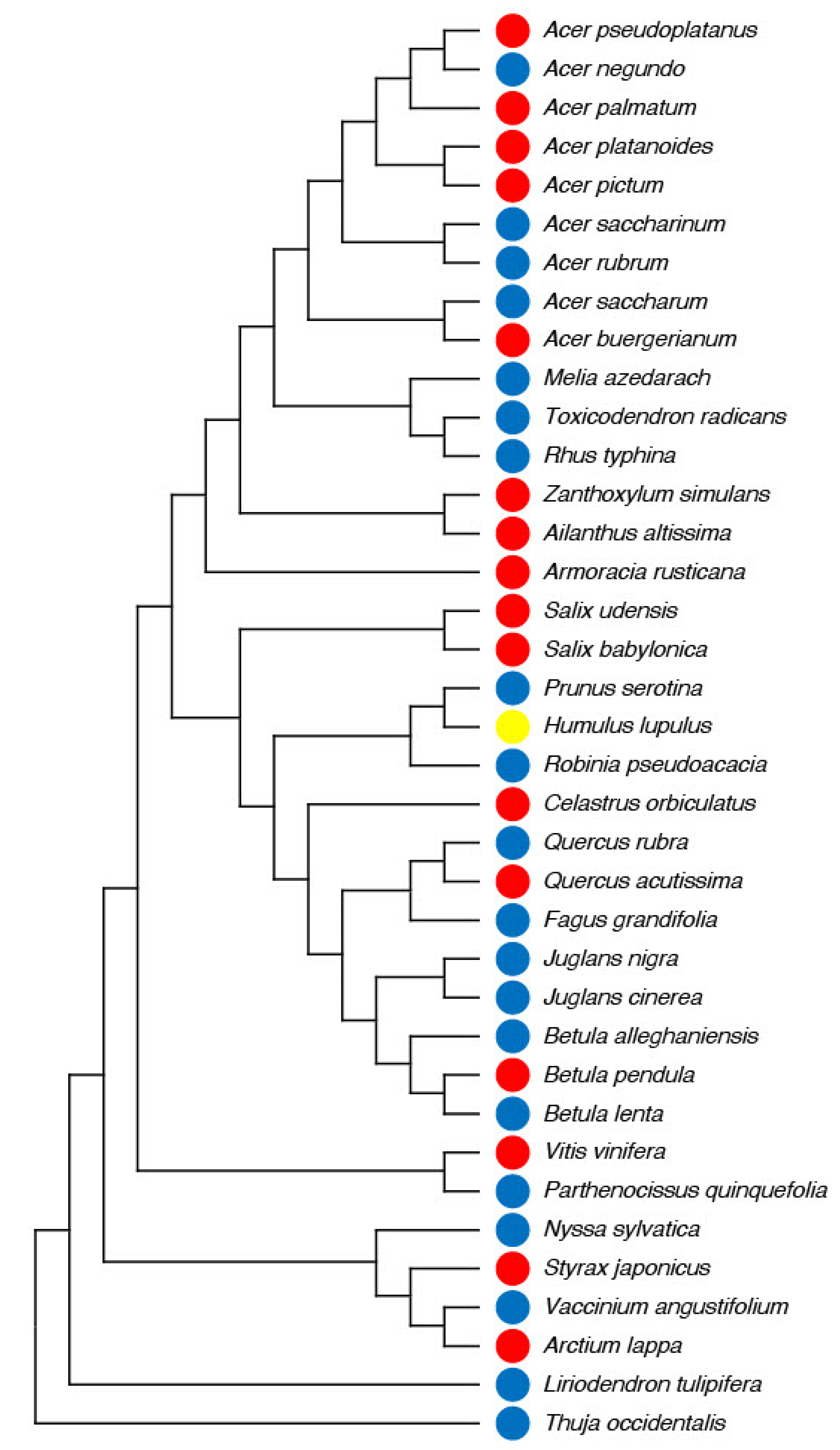 Forests 13 02017 g004