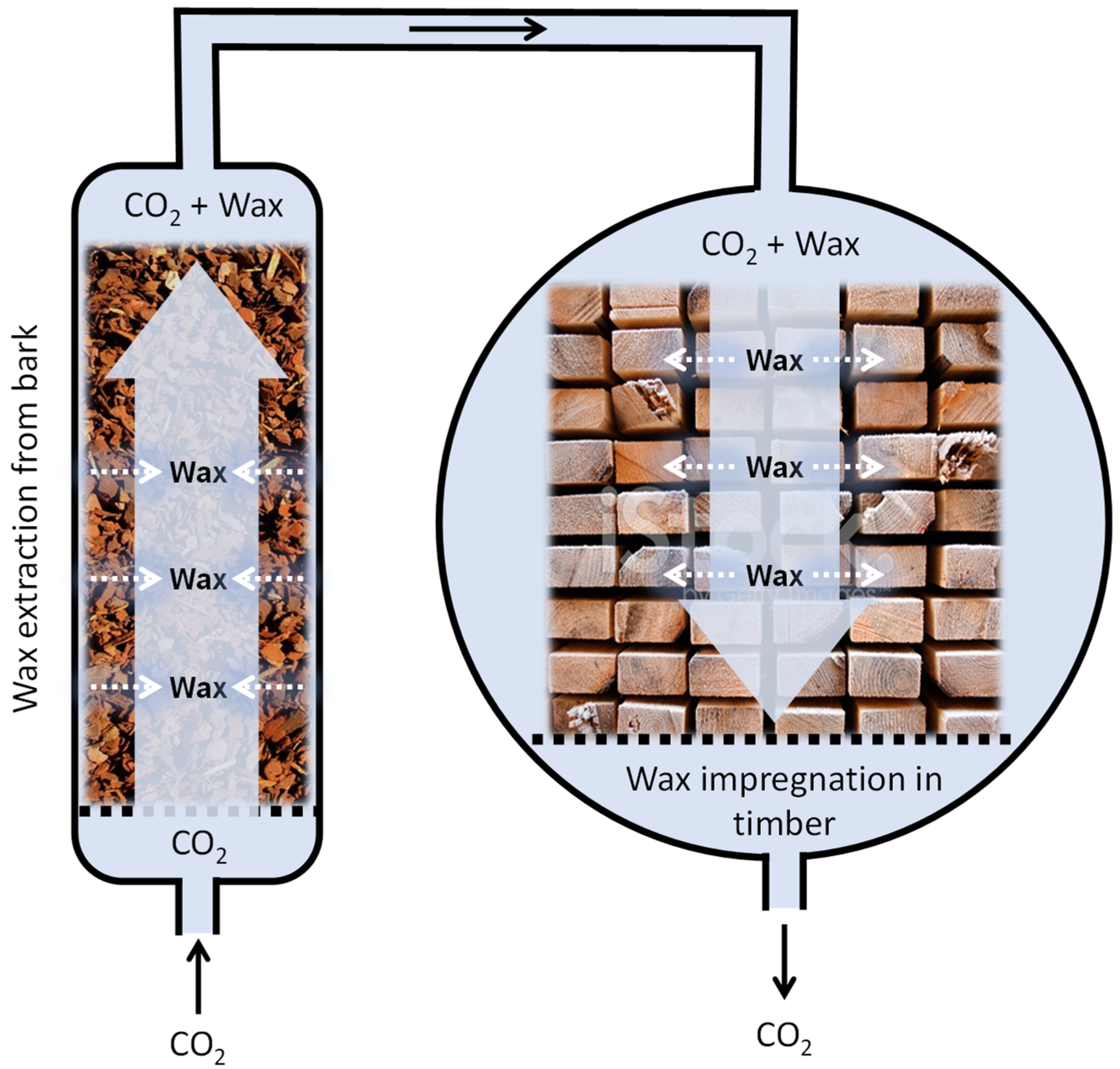 Forests 13 02018 g001