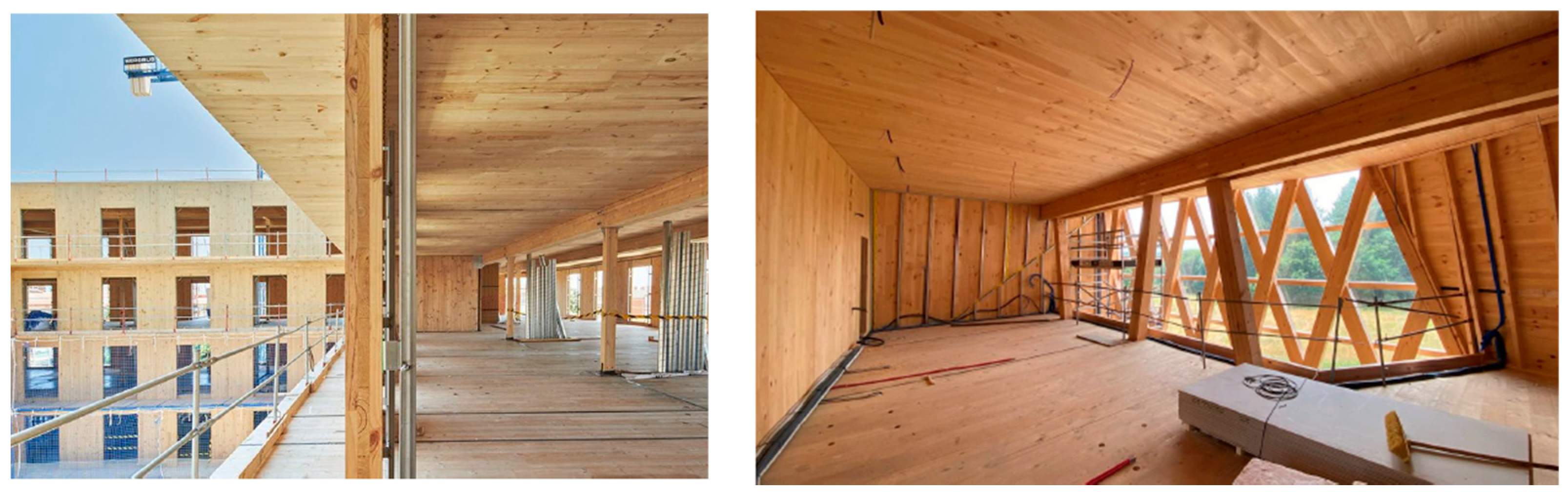 Forests 13 02021 g001