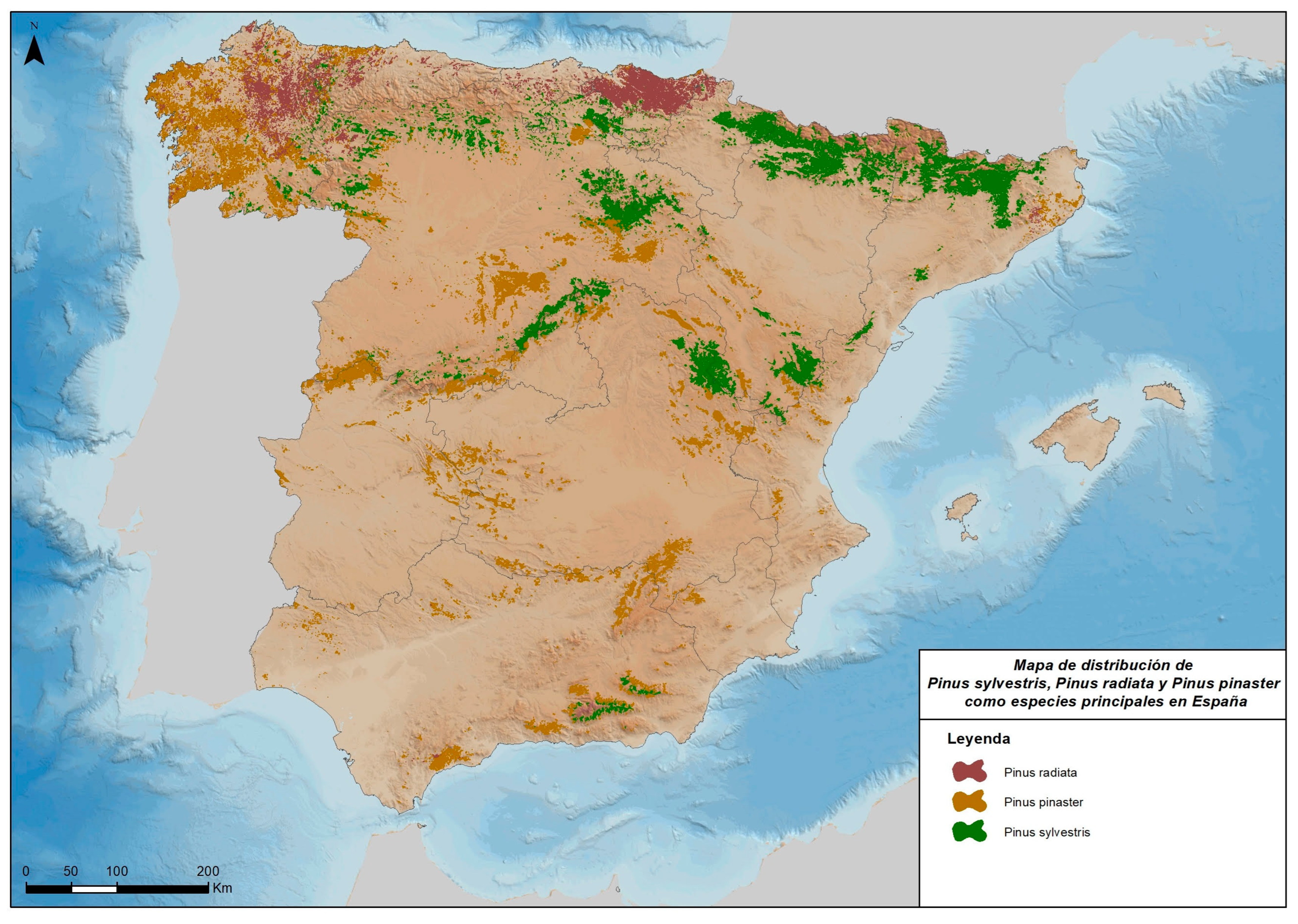 Forests 13 02021 g002