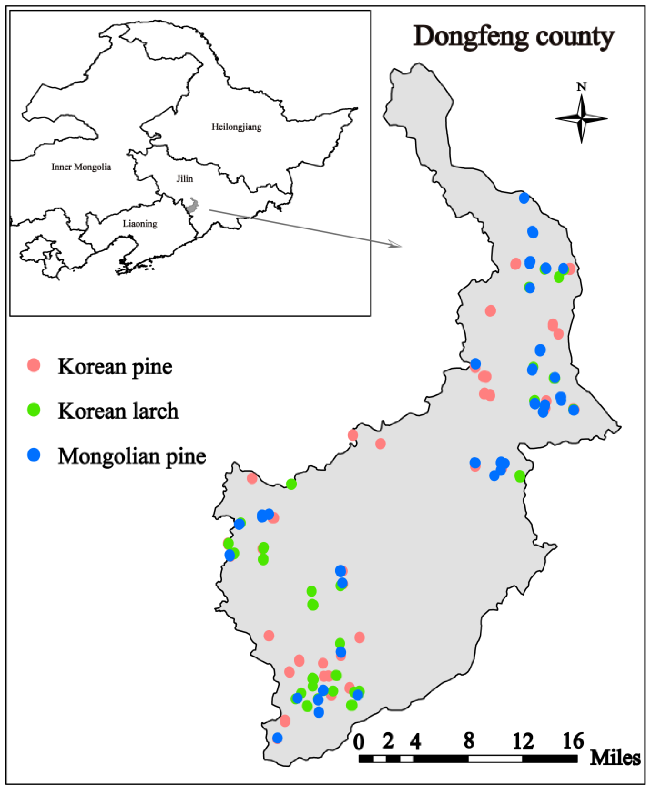 Forests 13 02022 g001