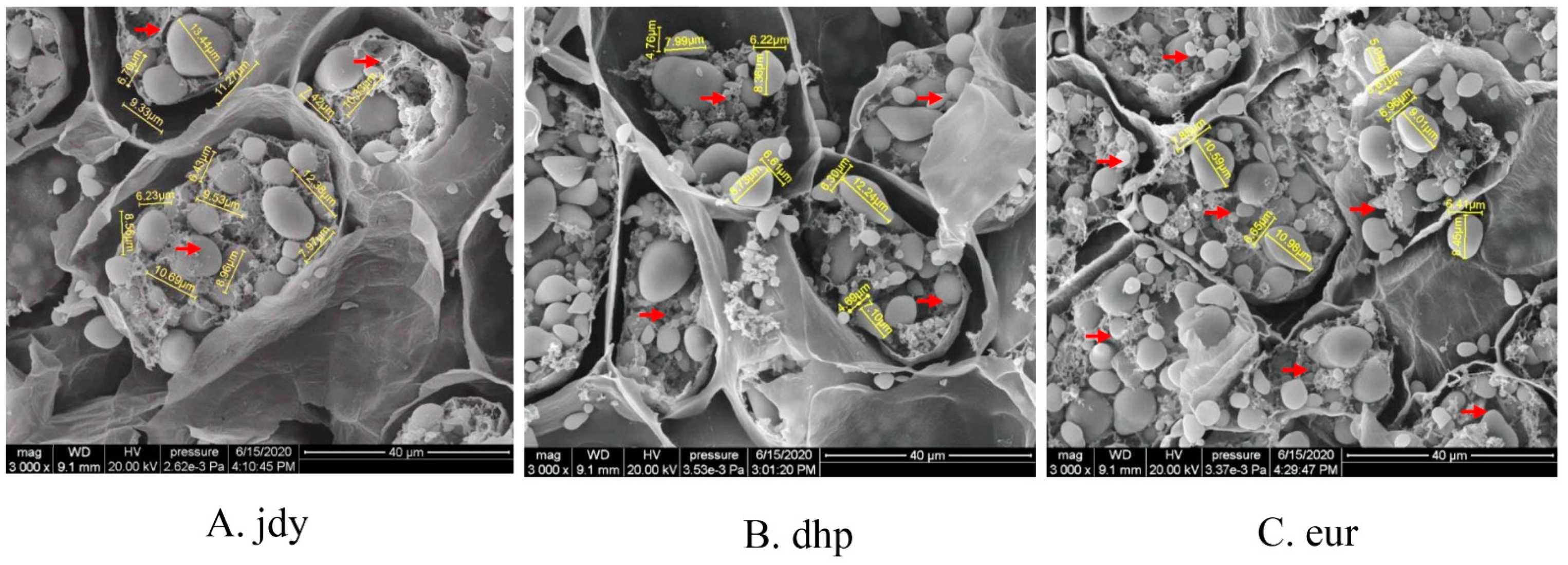 Forests 13 02028 g002