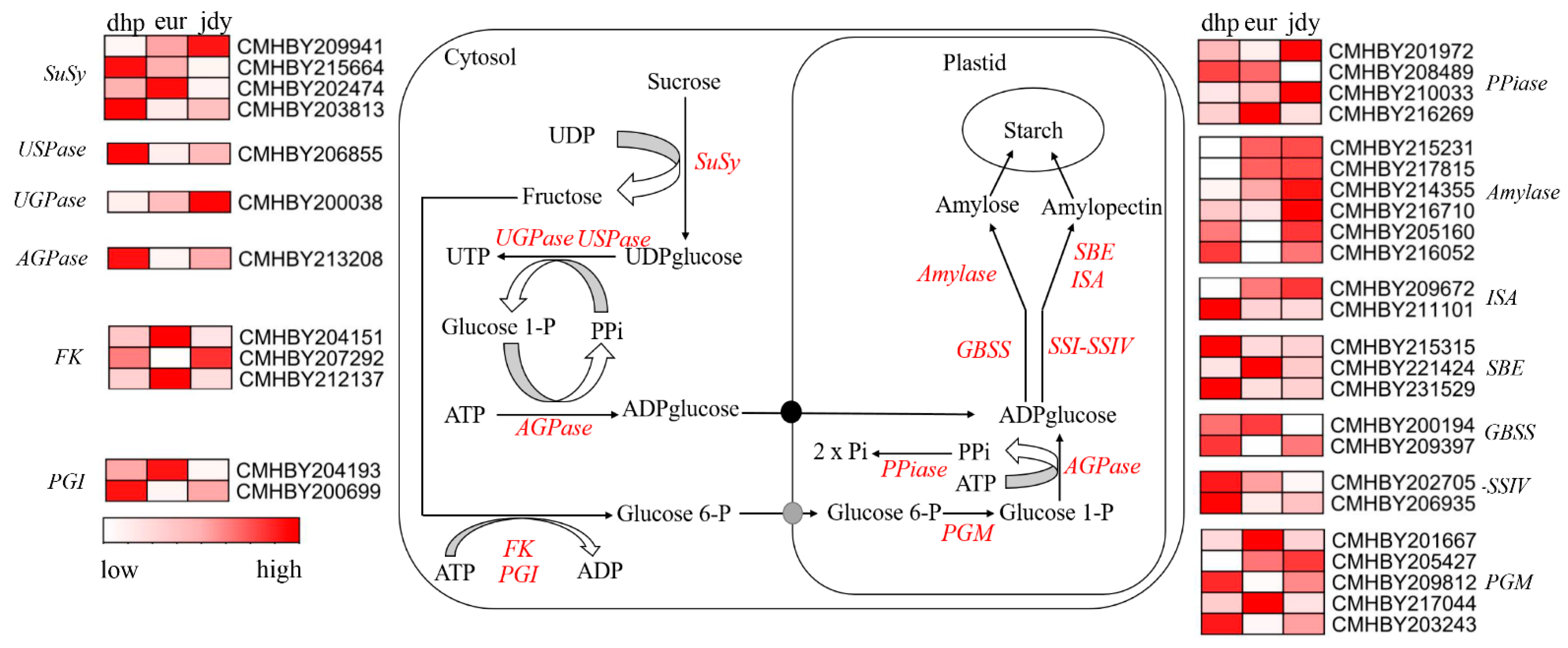 Forests 13 02028 g006