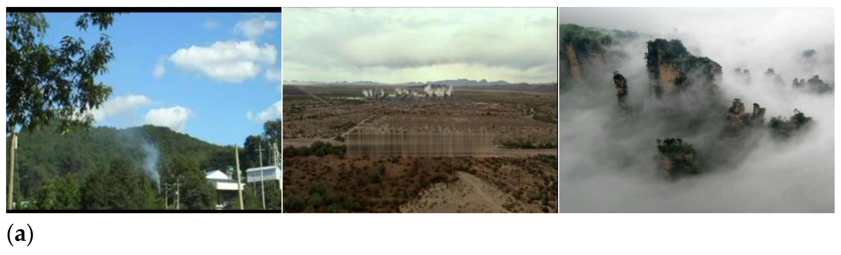 Forests 13 02032 g004a