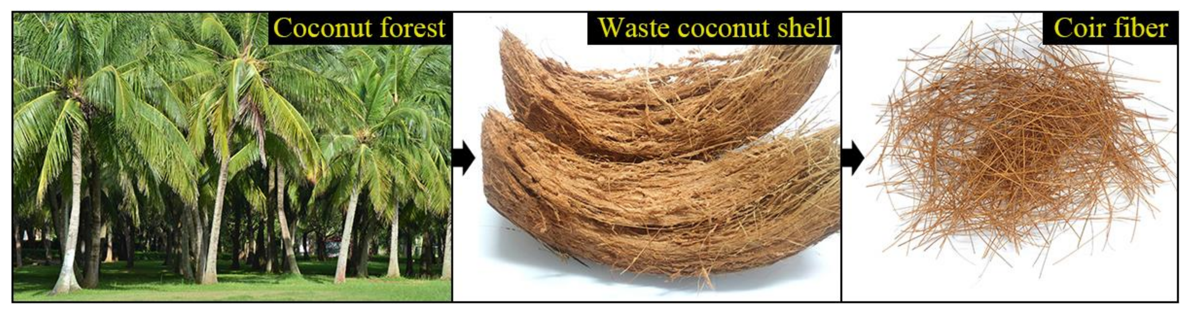 Forests 13 02033 g001