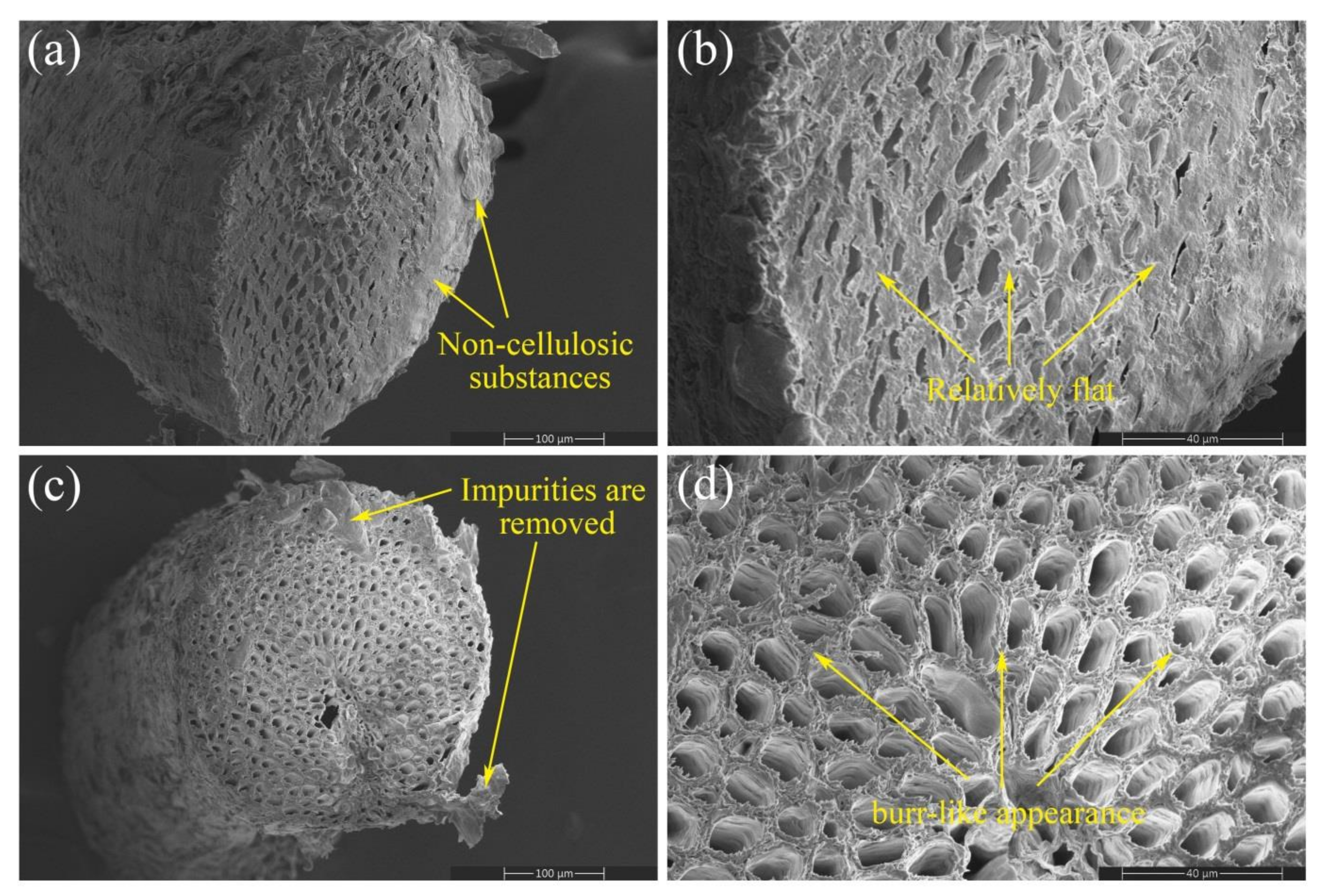 Forests 13 02033 g011