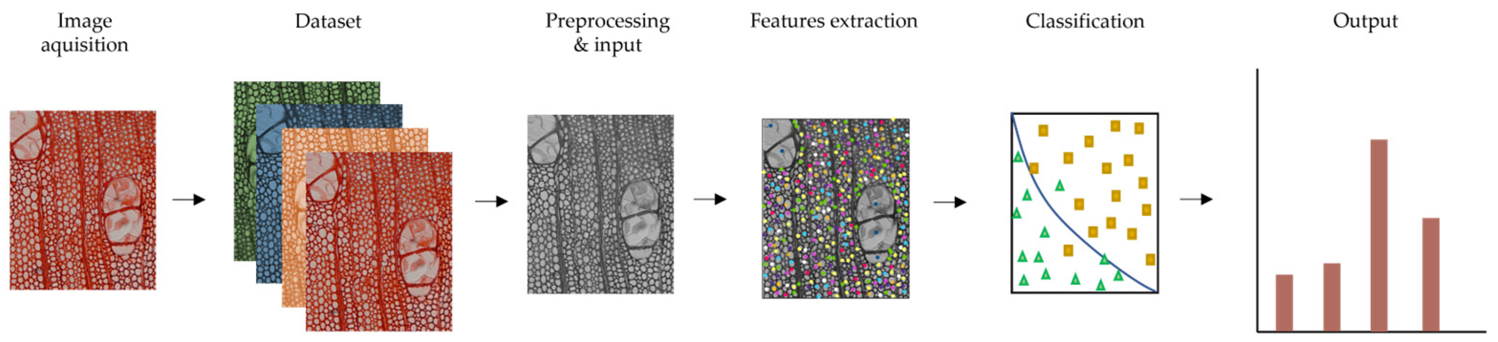 Forests 13 02041 g001