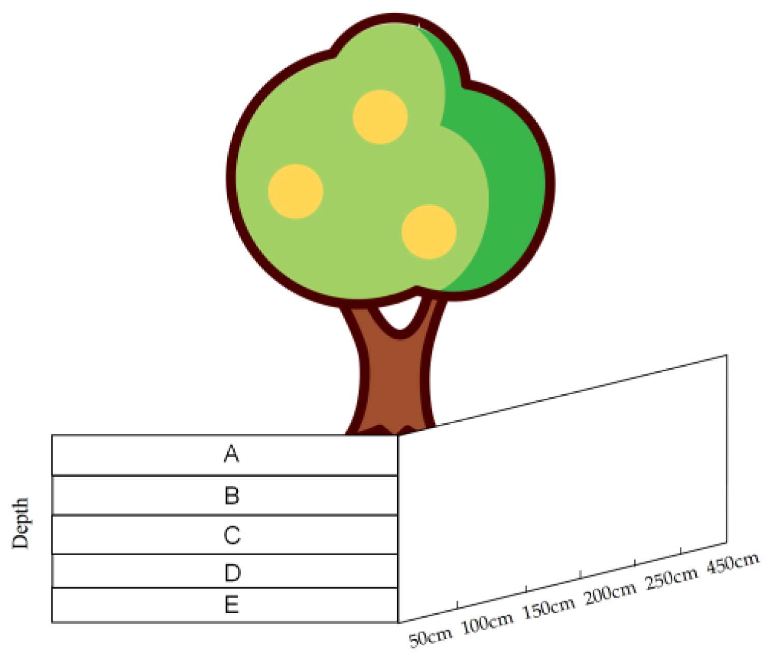 Forests 13 02044 g002 Forests 13 02044 g002