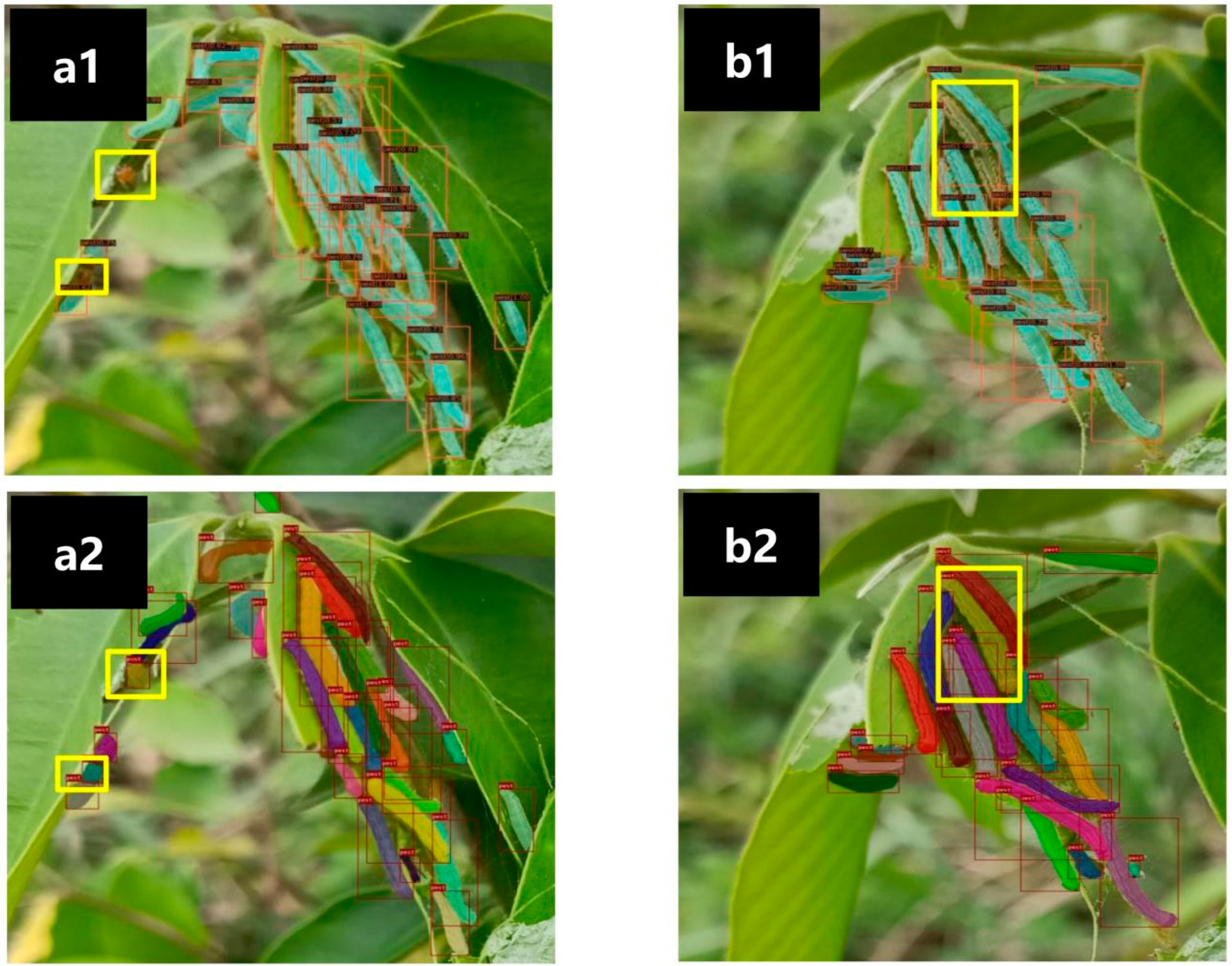 Forests 13 02048 g006