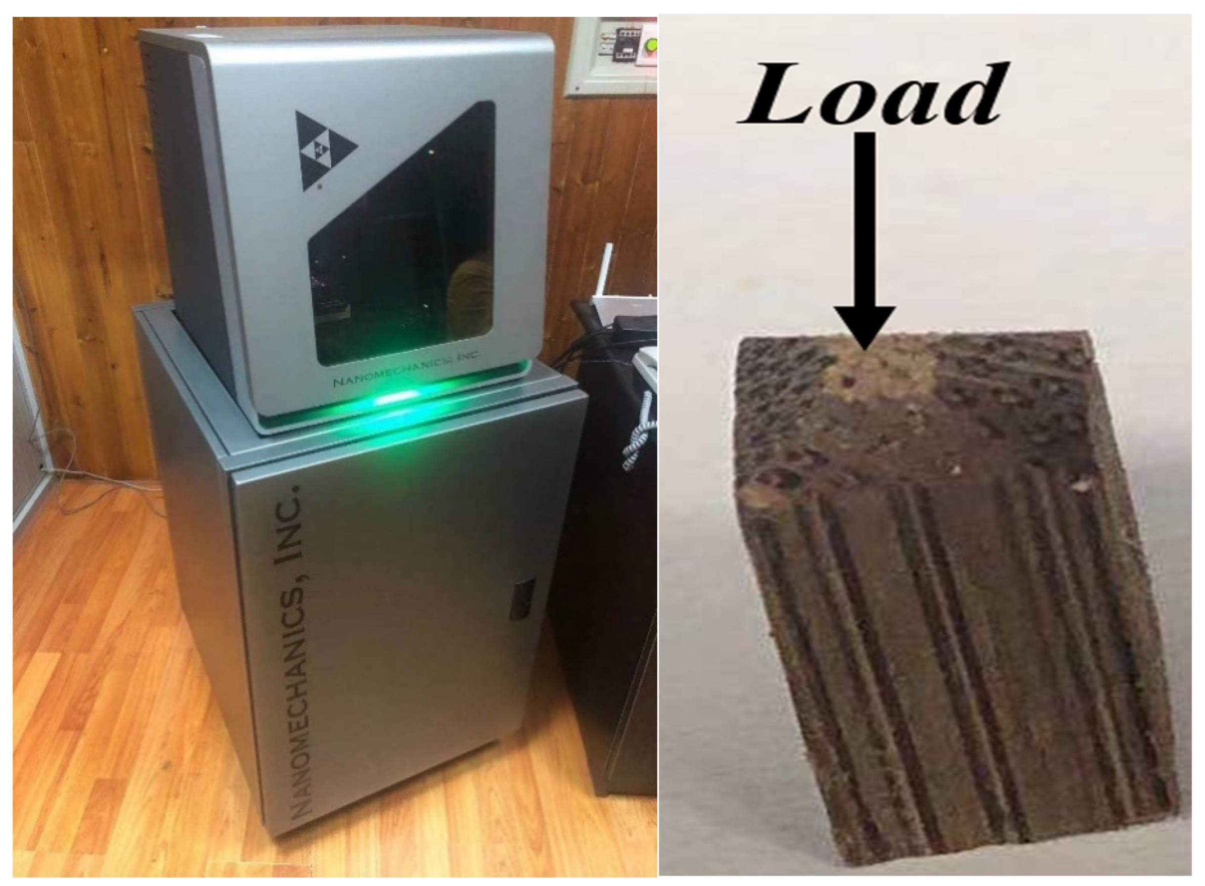 Forests 13 02059 g002