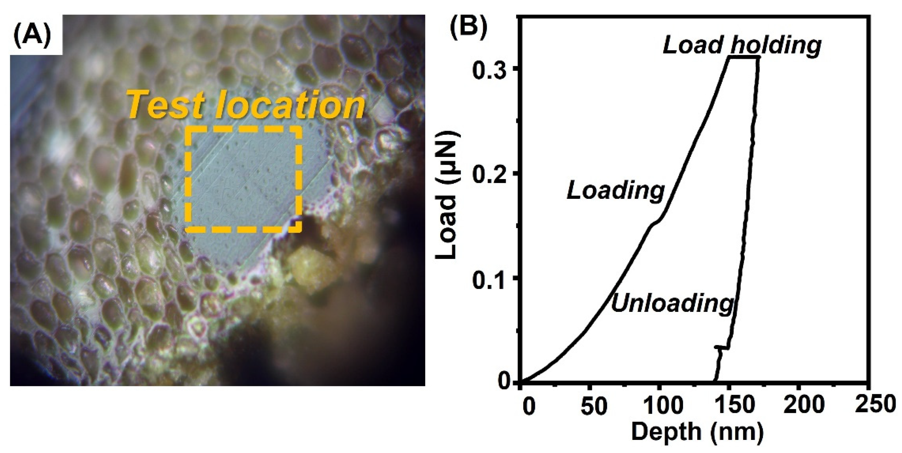 Forests 13 02059 g003