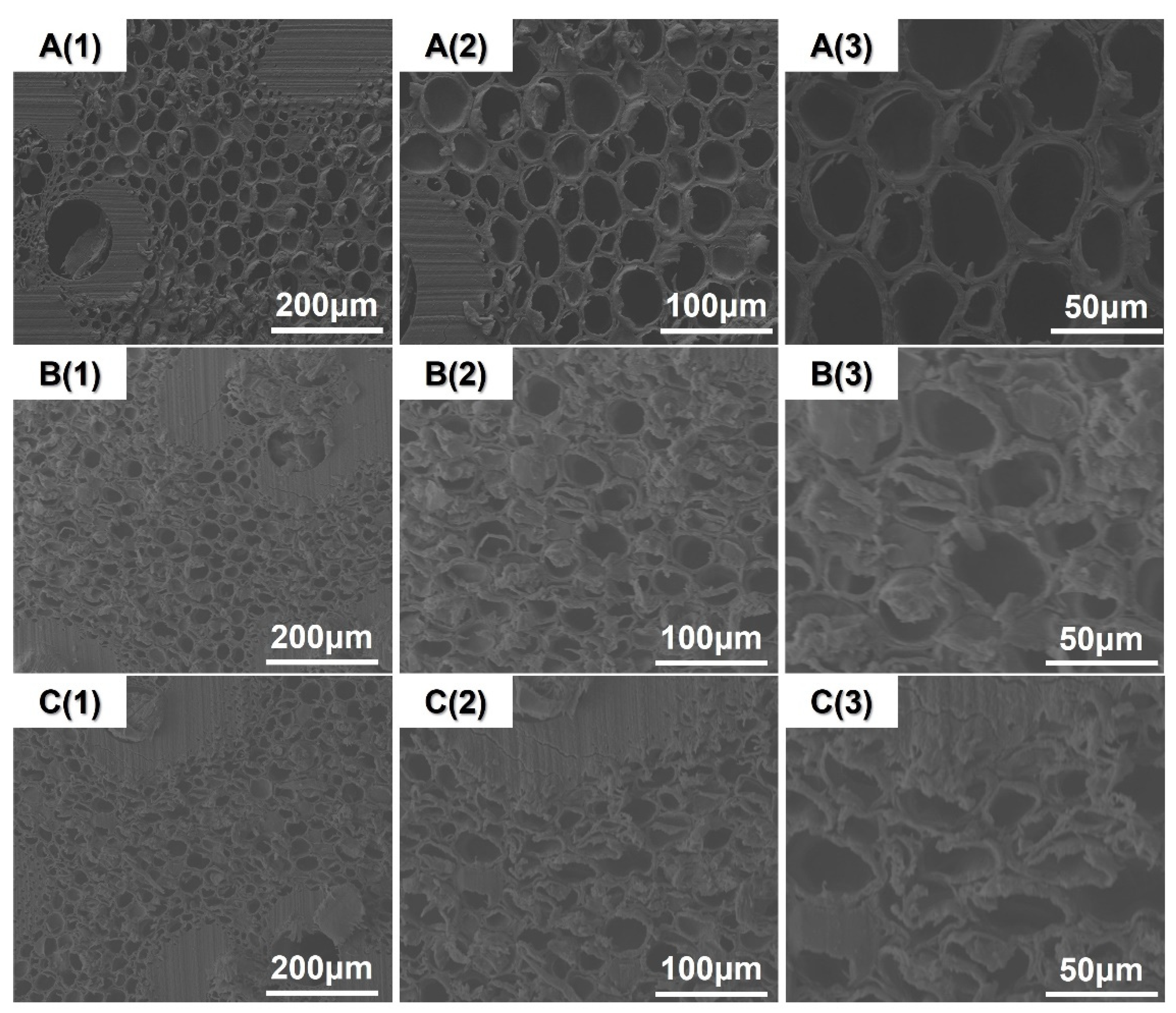 Forests 13 02059 g004