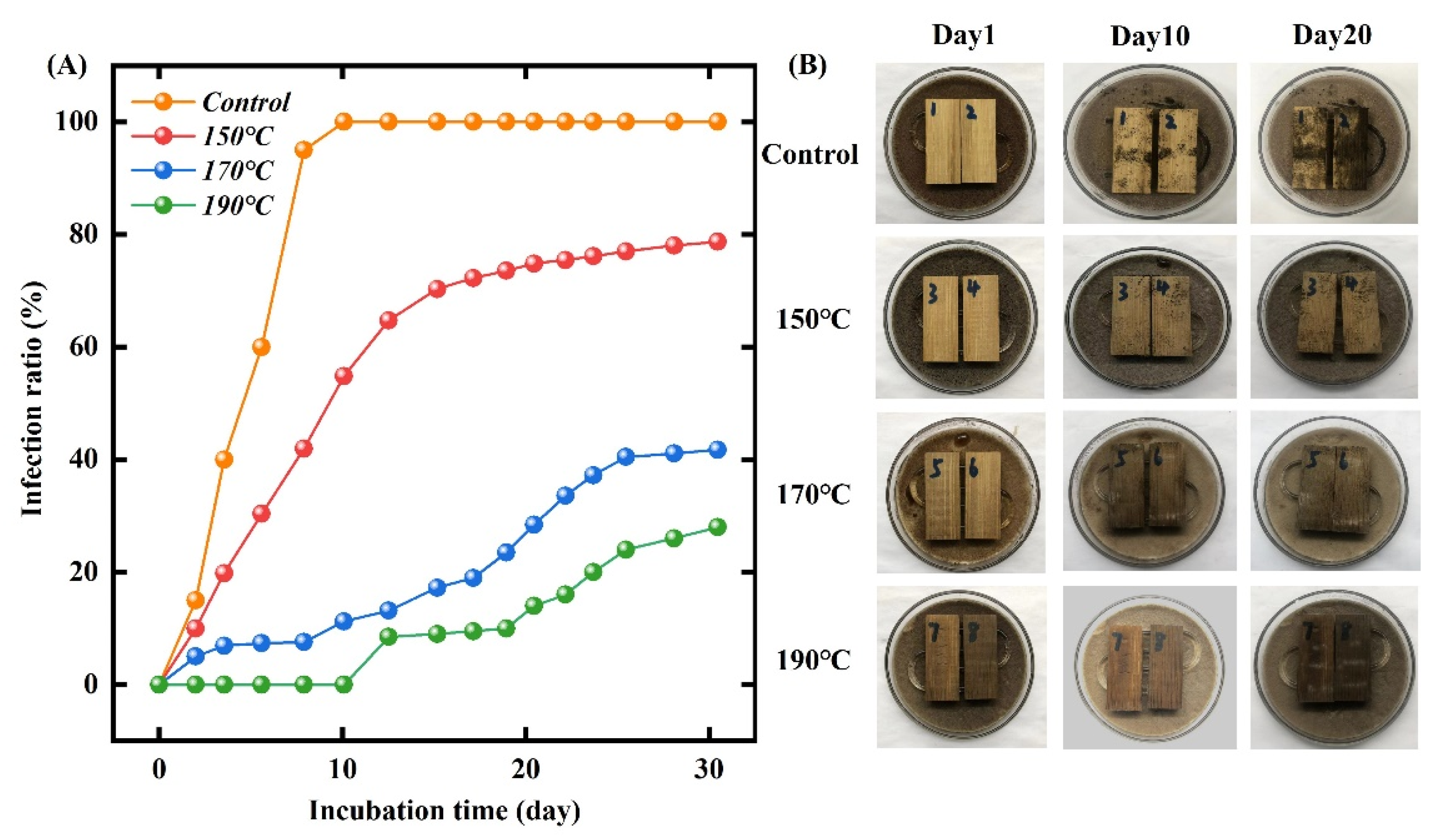Forests 13 02059 g011