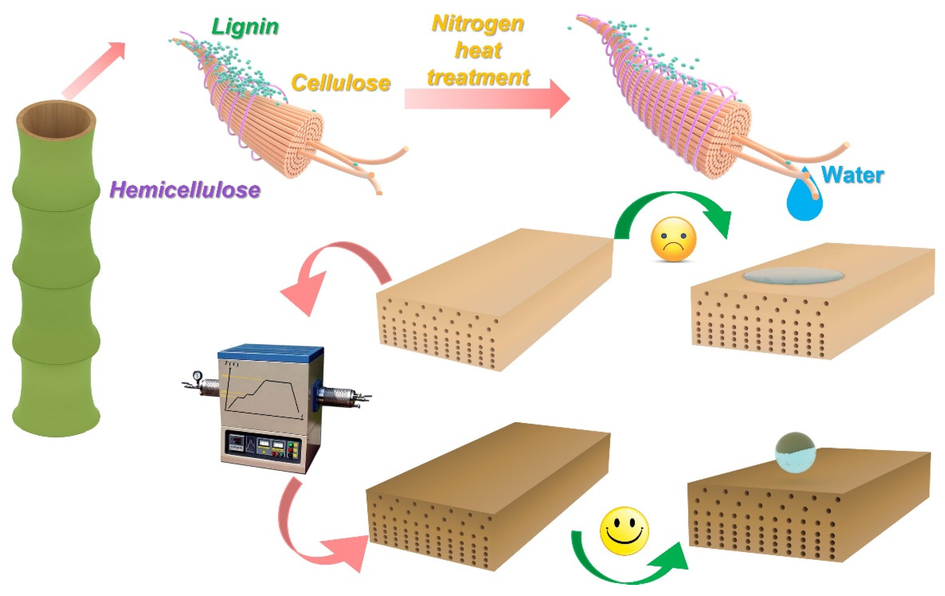 Forests 13 02059 g012