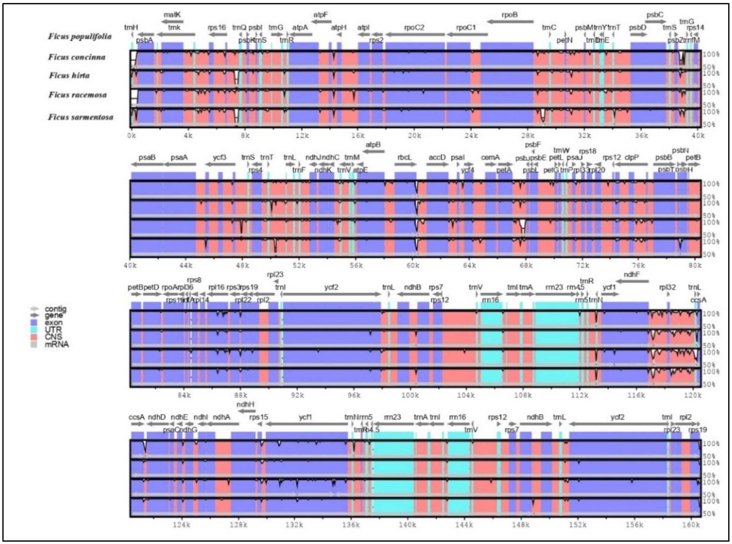 Forests 13 02063 g011 Forests 13 02063 g011