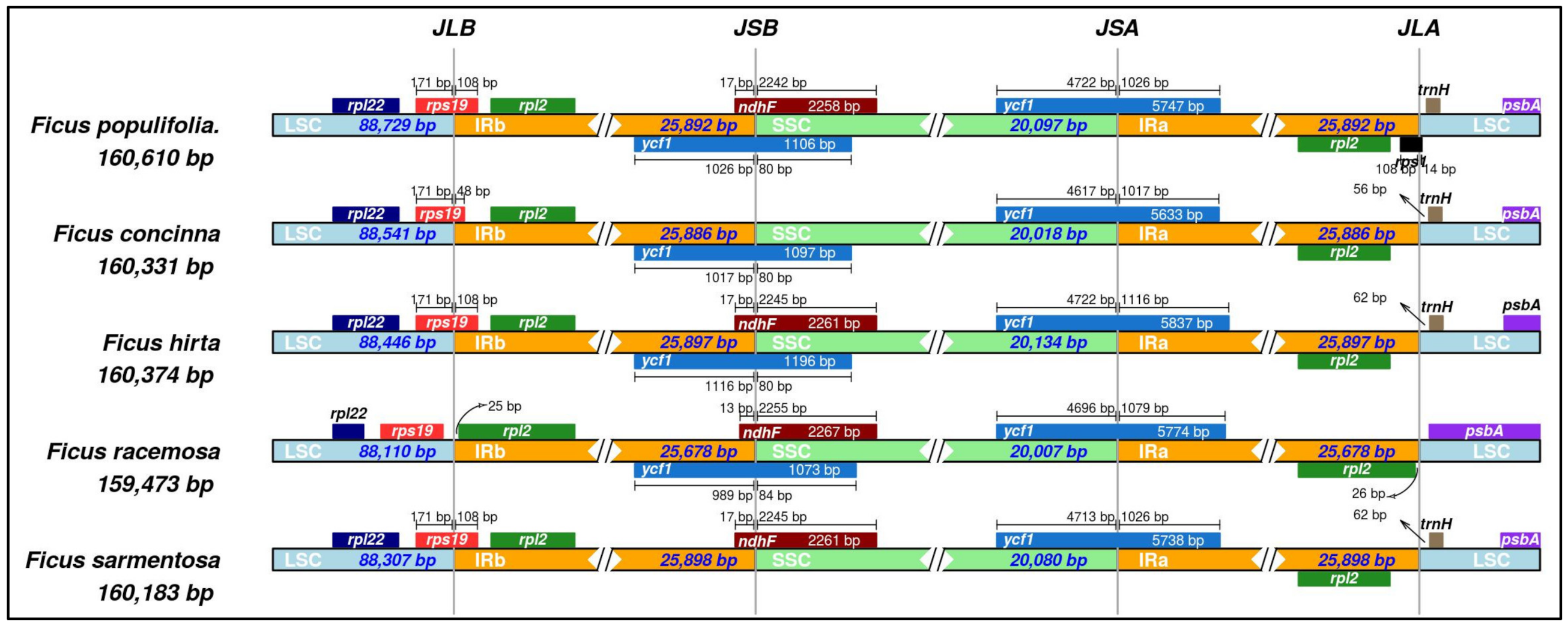 Forests 13 02063 g012 Forests 13 02063 g012
