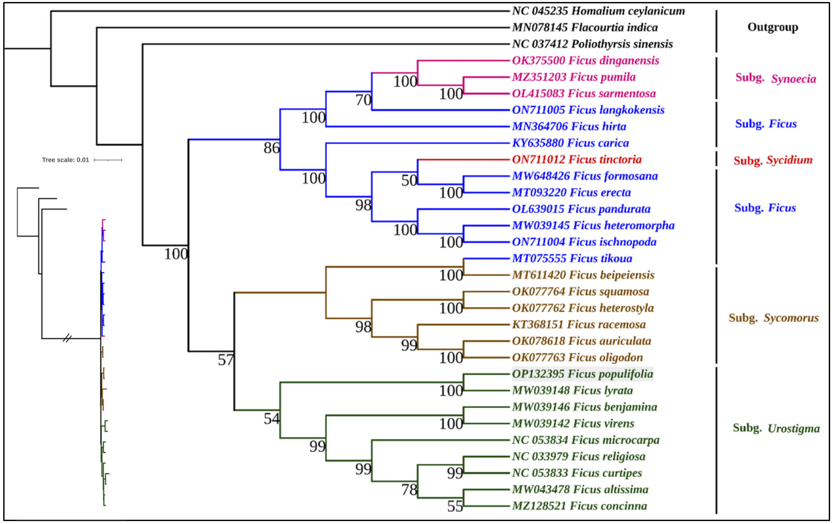 Forests 13 02063 g014 Forests 13 02063 g014
