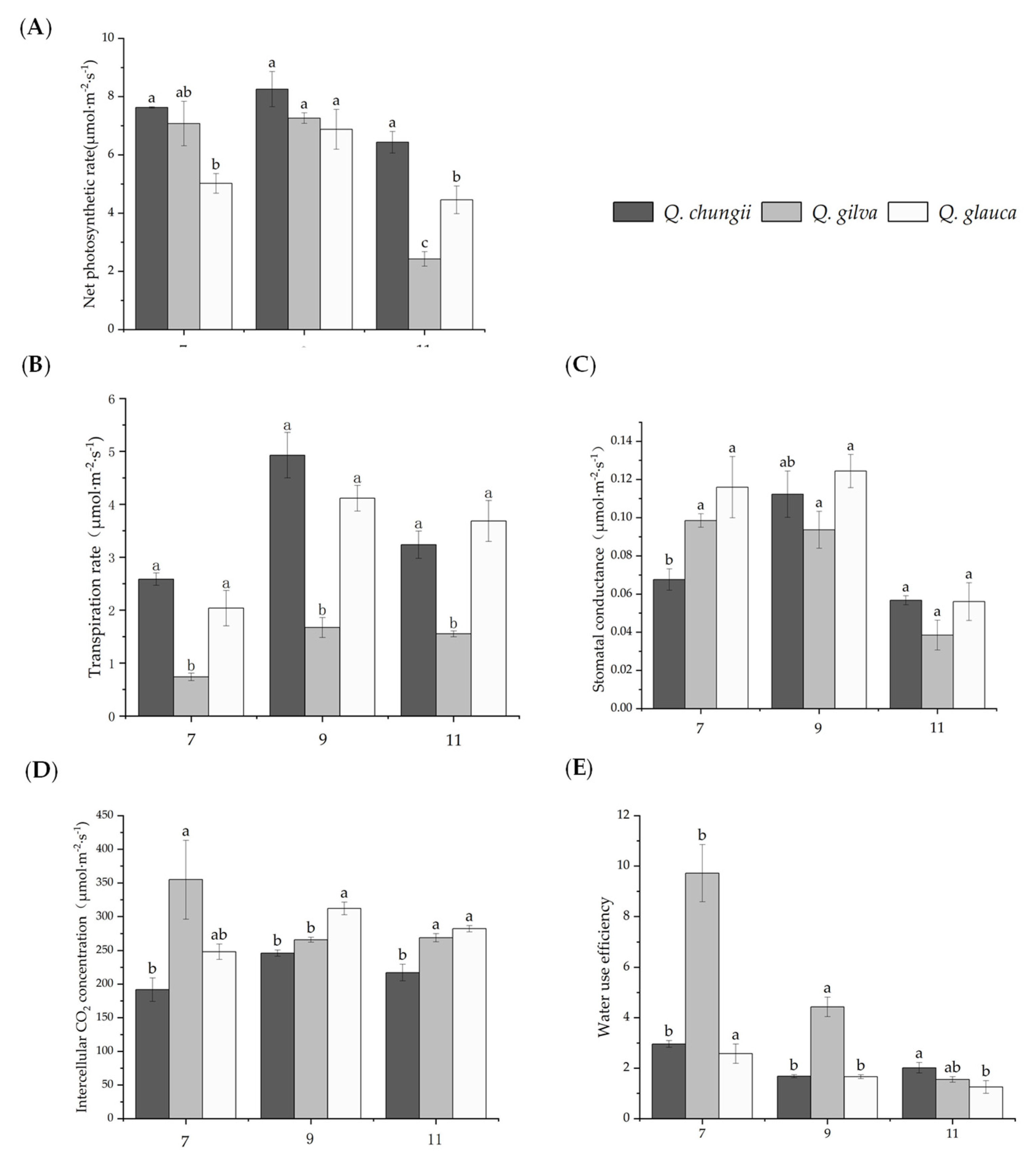 Forests 13 02067 g001