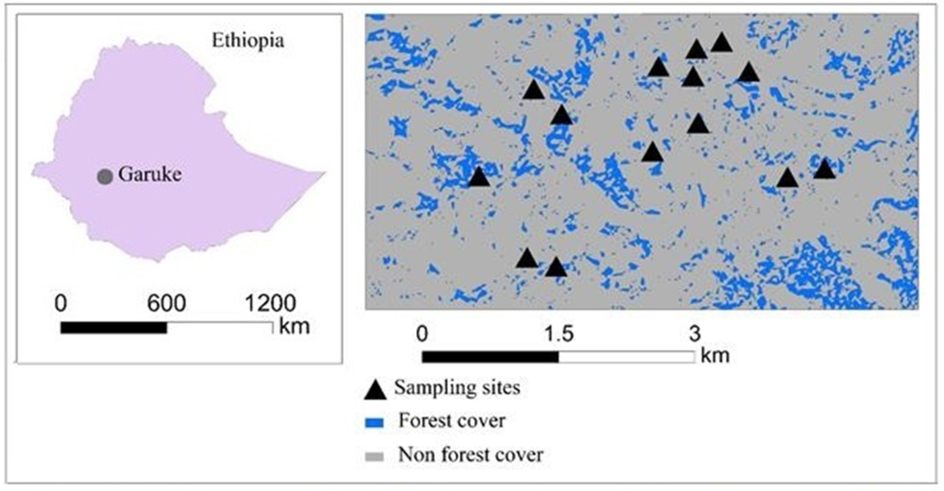 Forests 13 02068 g001