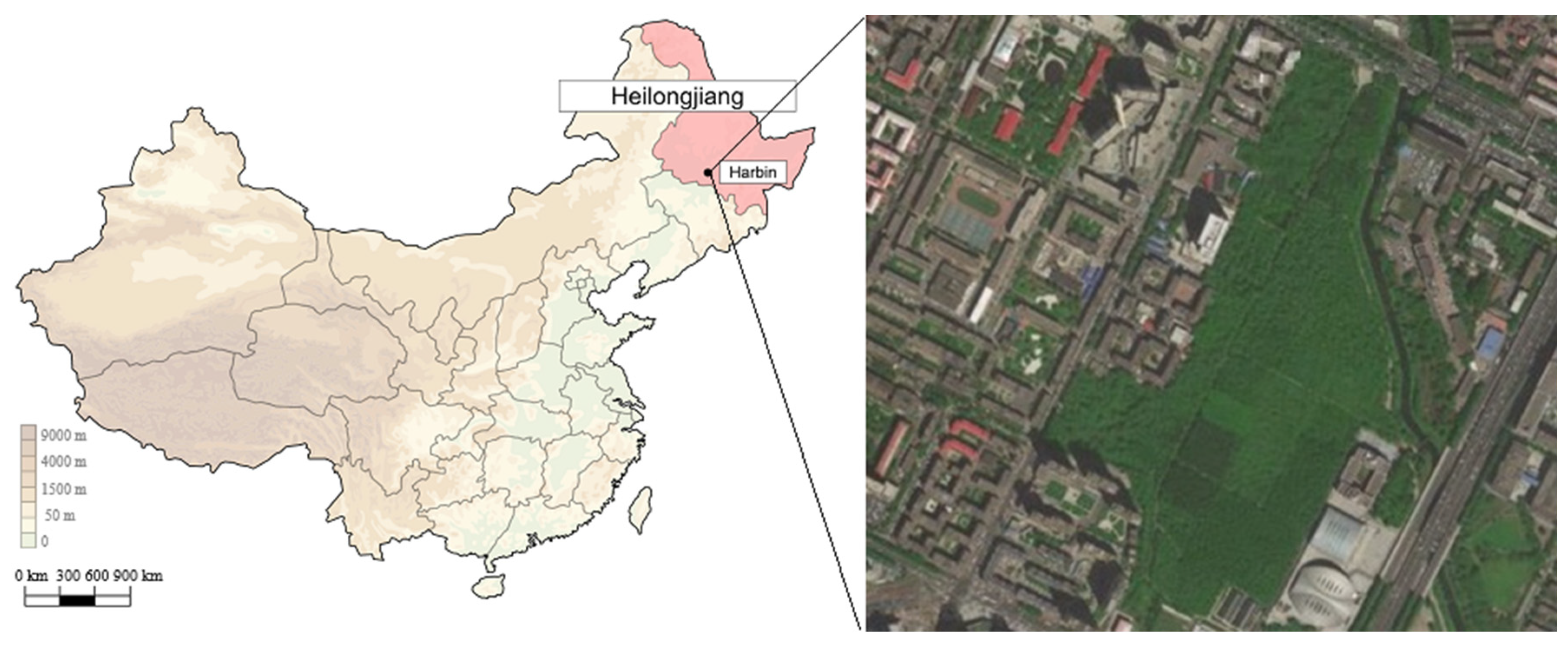 Forests 13 02072 g001