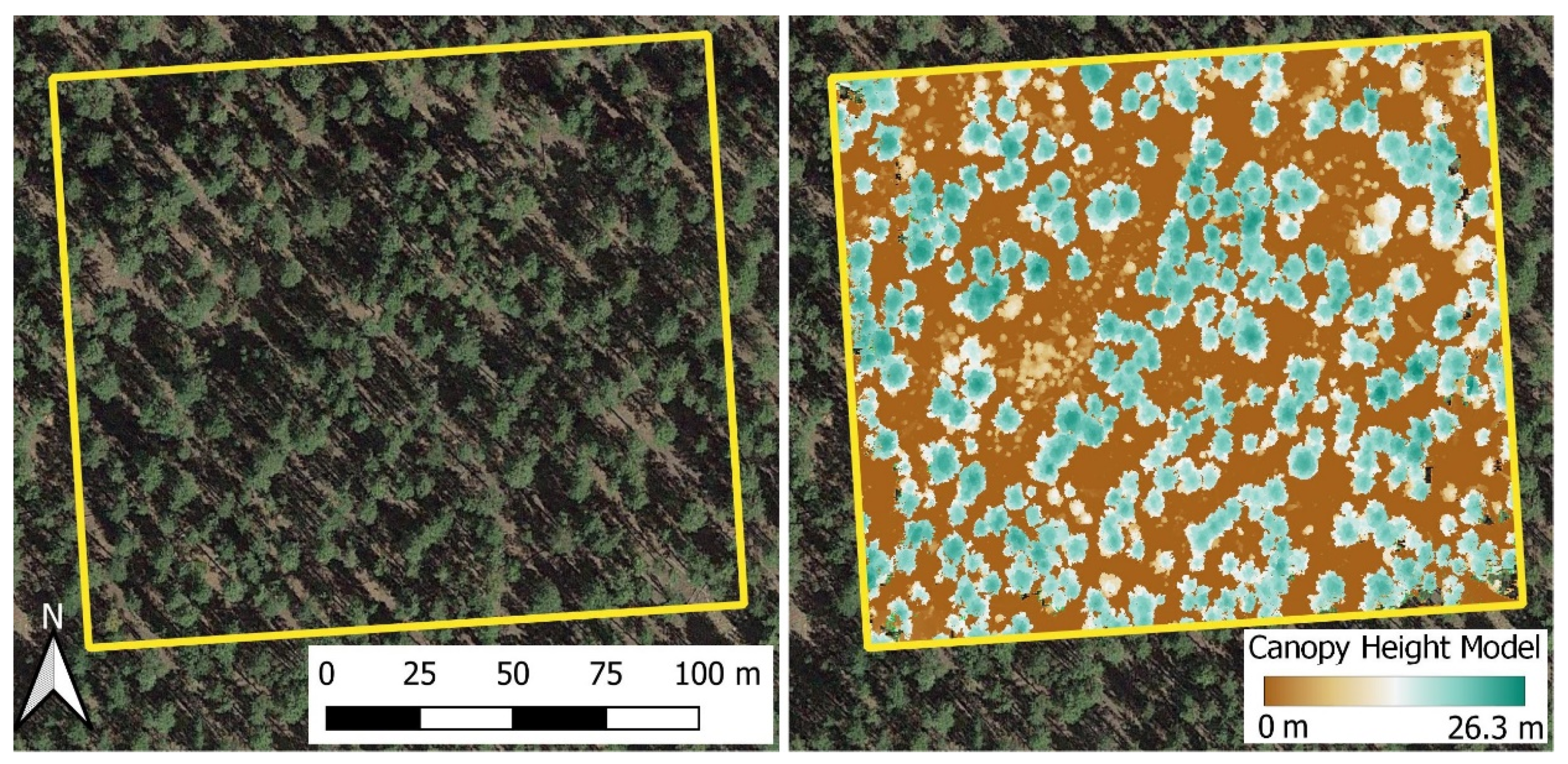 Forests 13 02077 g001
