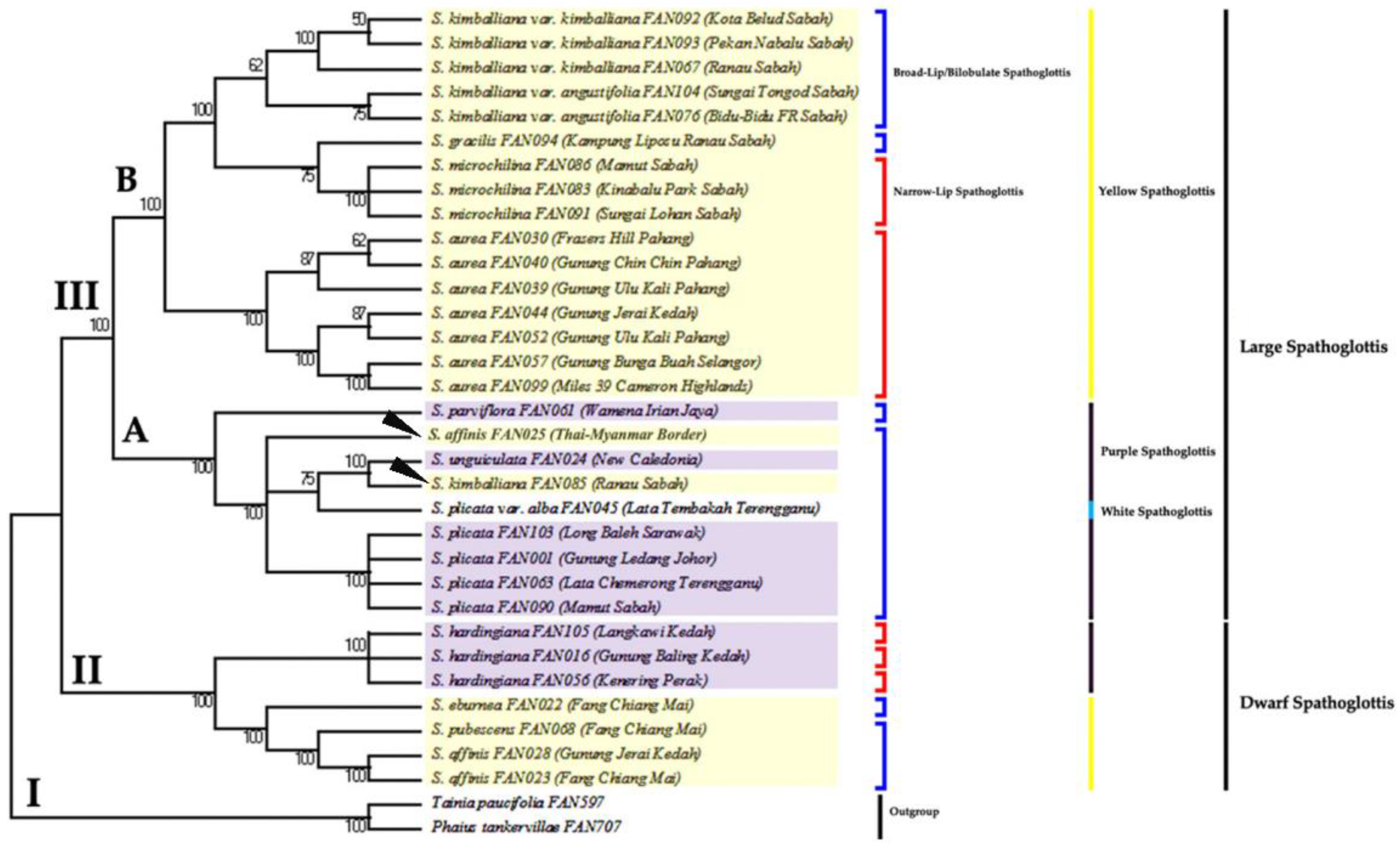 Forests 13 02079 g005