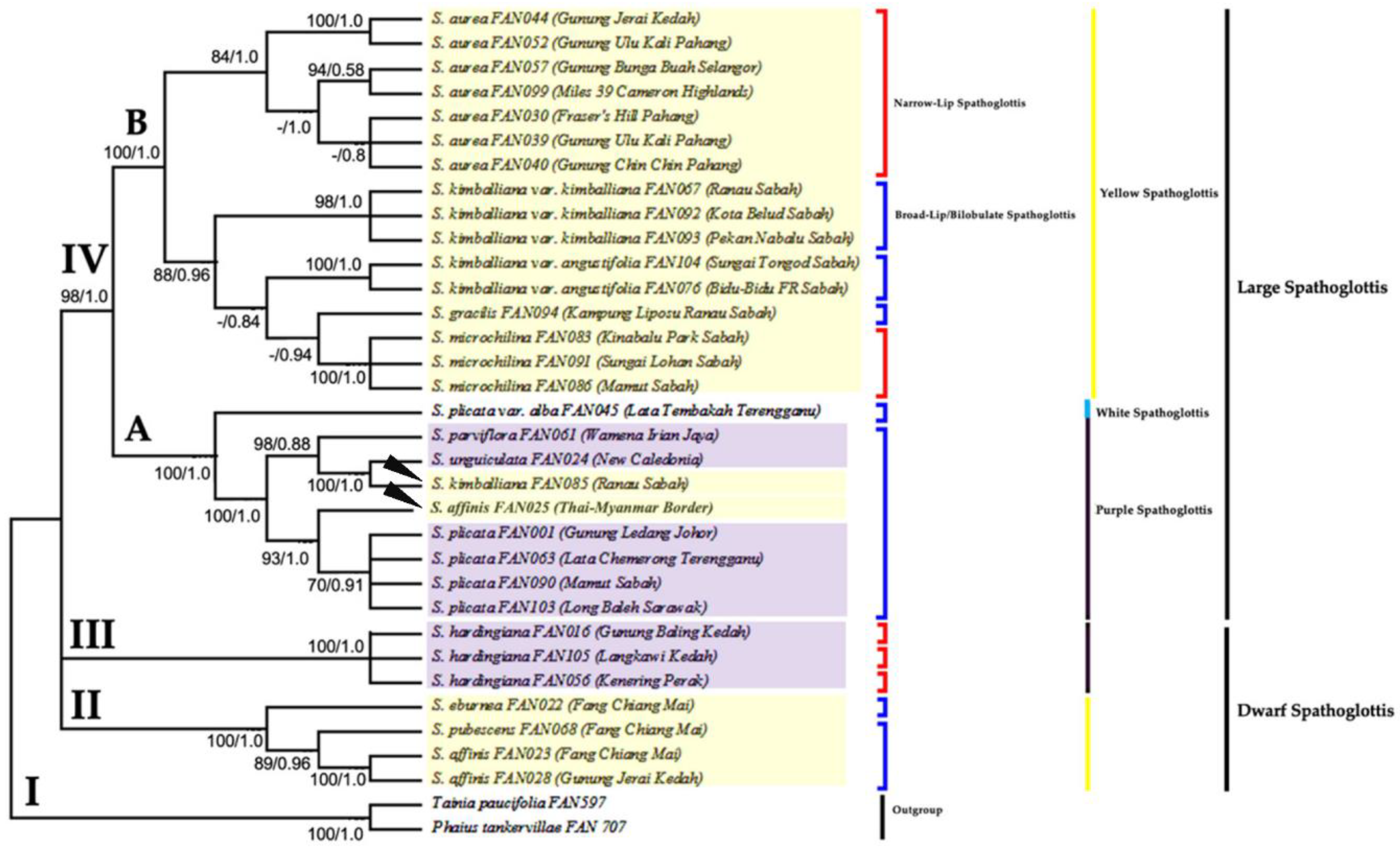 Forests 13 02079 g006