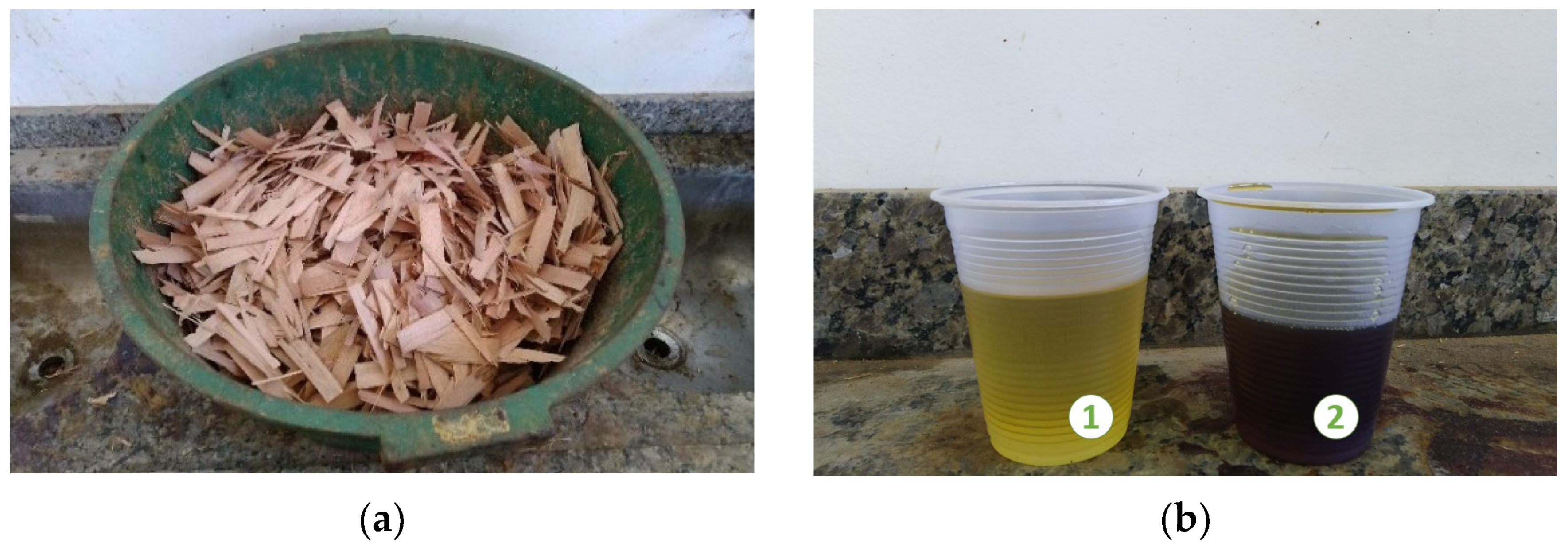 Forests 13 02083 g001